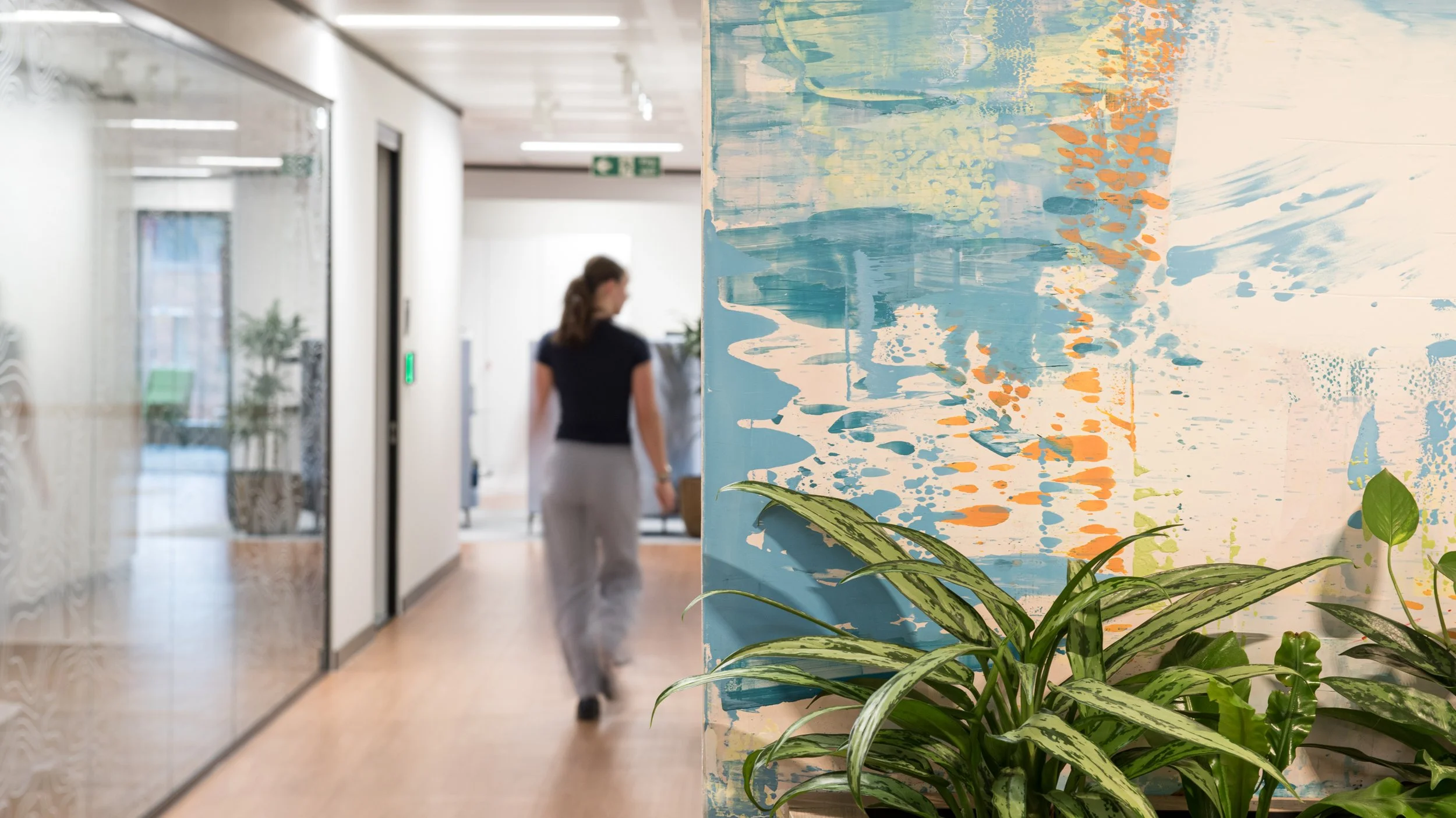 Aster Muro Arup3575.jpg