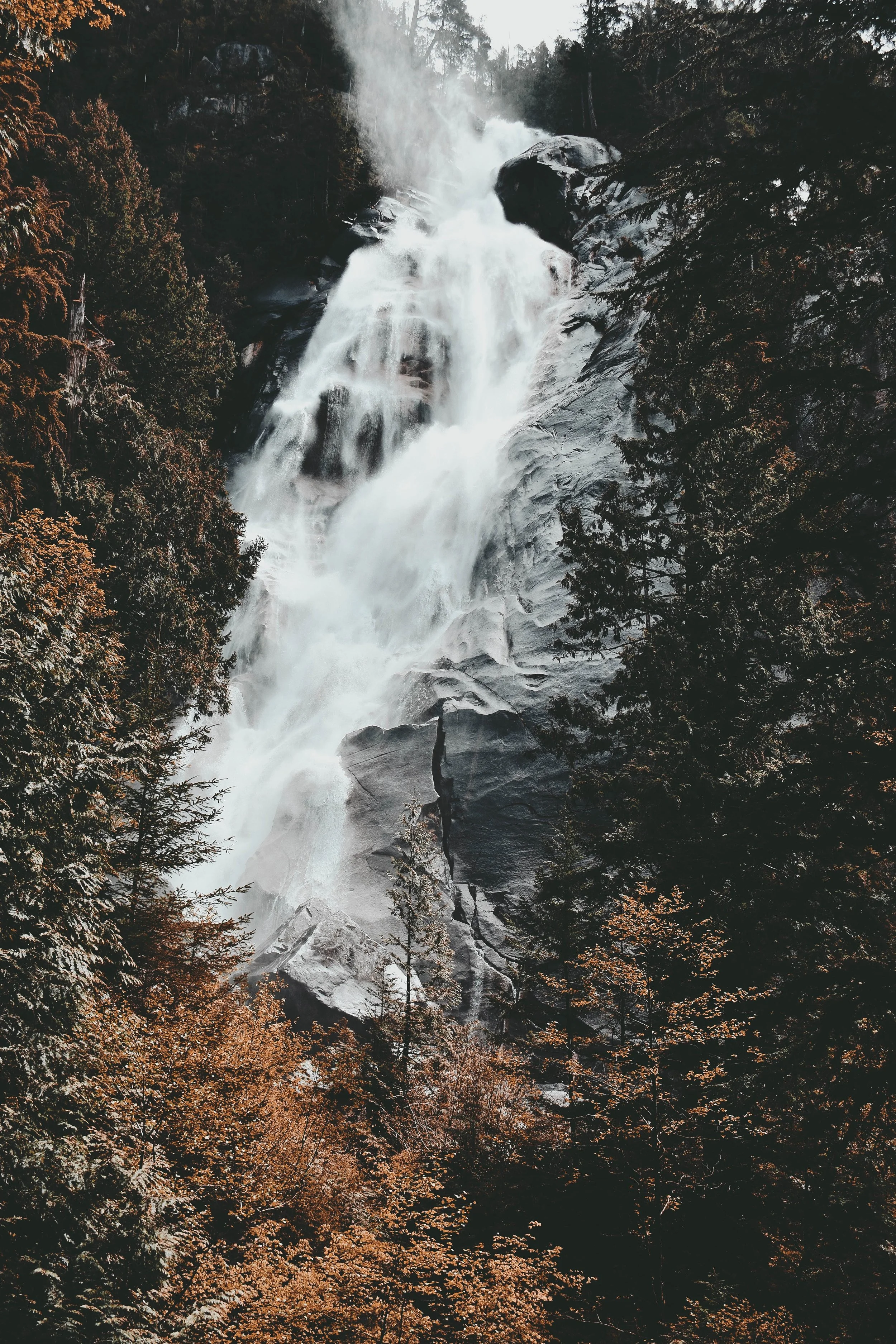 jacalyn-beales-DR_rbQ5ZOTU-unsplash.jpg