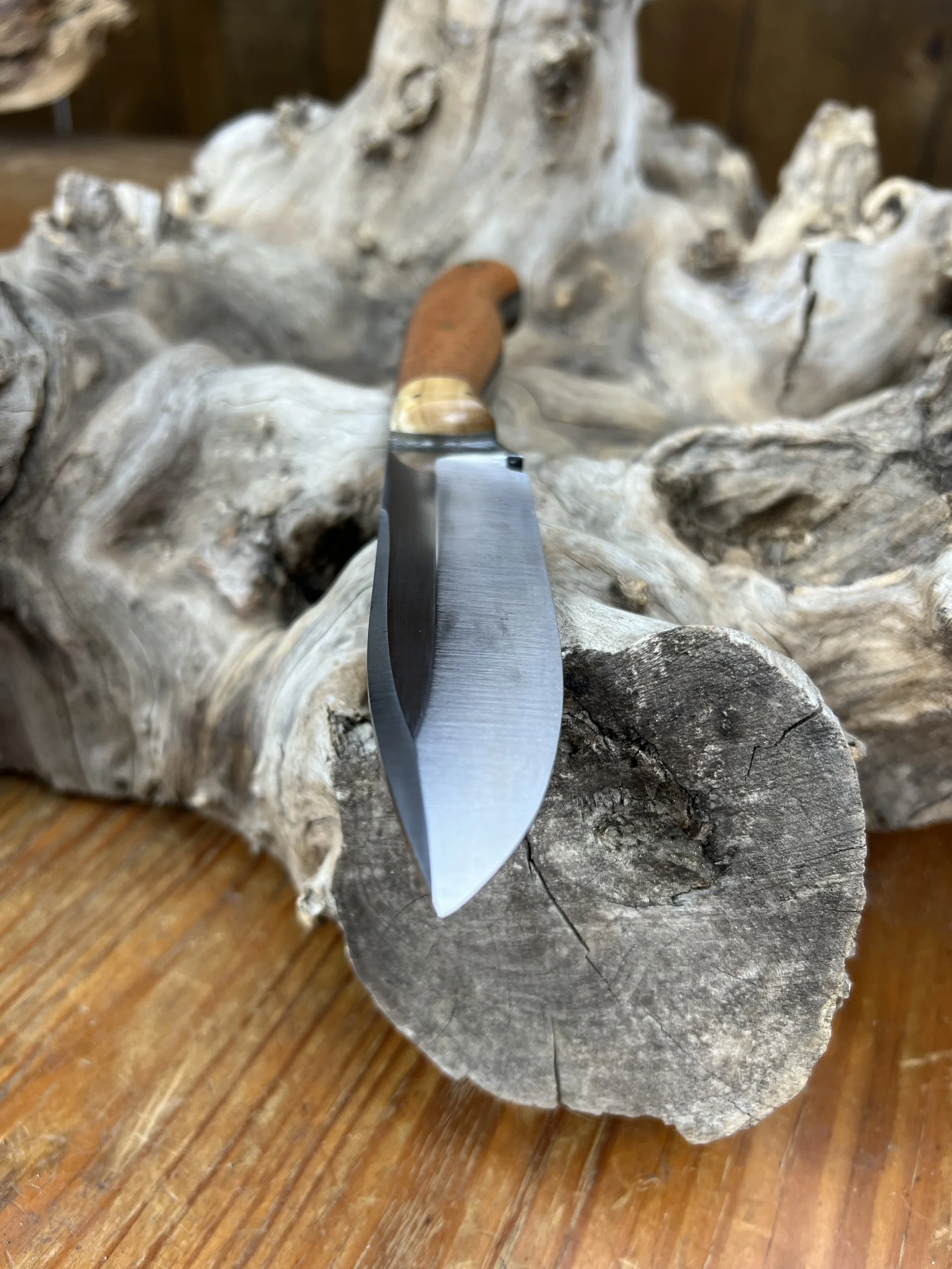 JPEG image 169 - Copy.jpeg