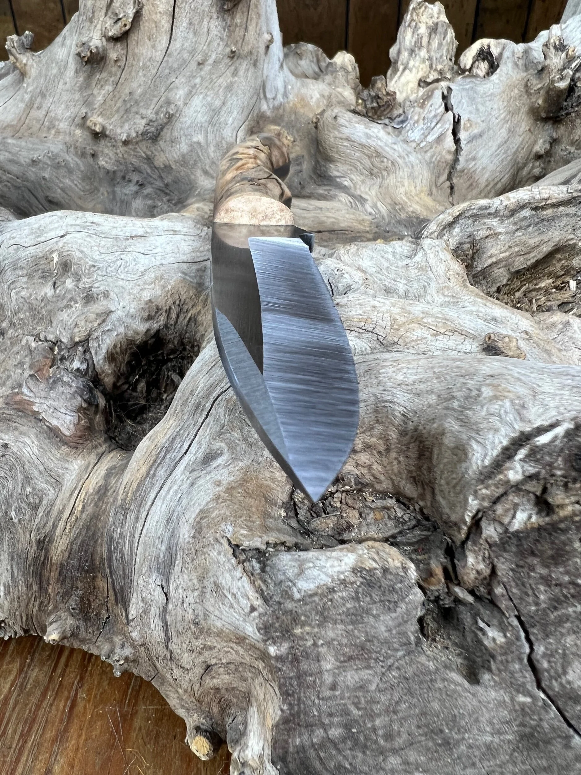 AC5D3391-0D25-49D2-B6C2-50AE76D7C30B