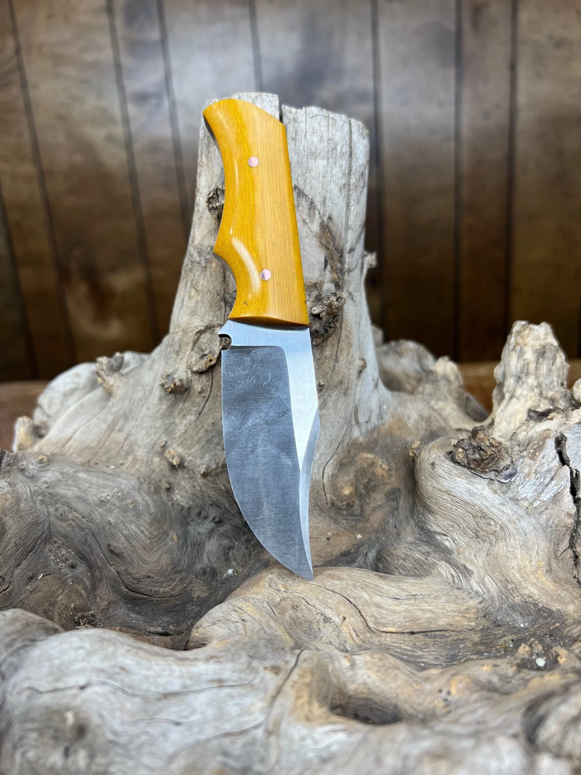 436909C8-26A3-49BB-B5CD-0DF792C1B63F