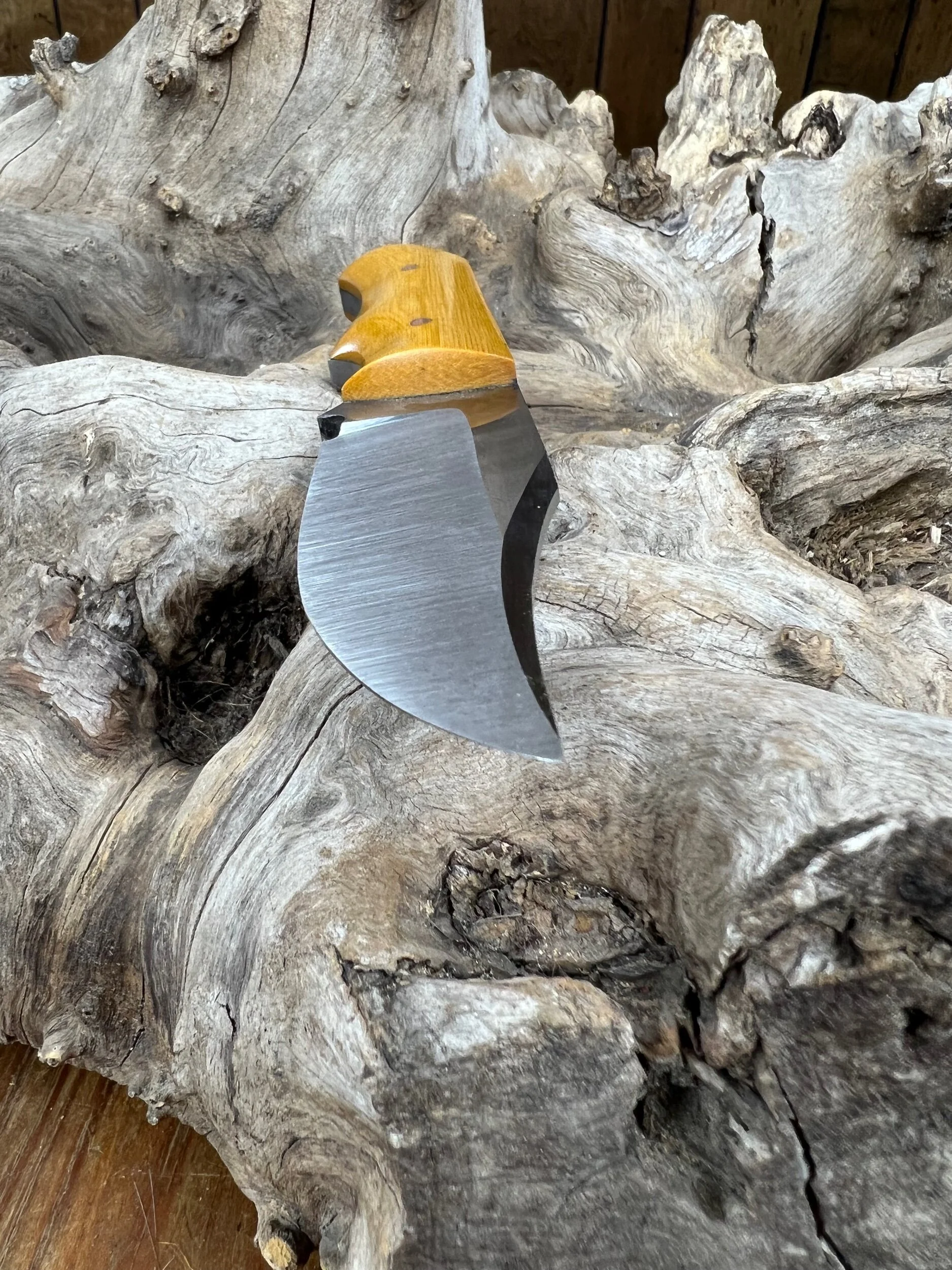 B37740E3-88E3-4C5E-B665-968DC16A2671