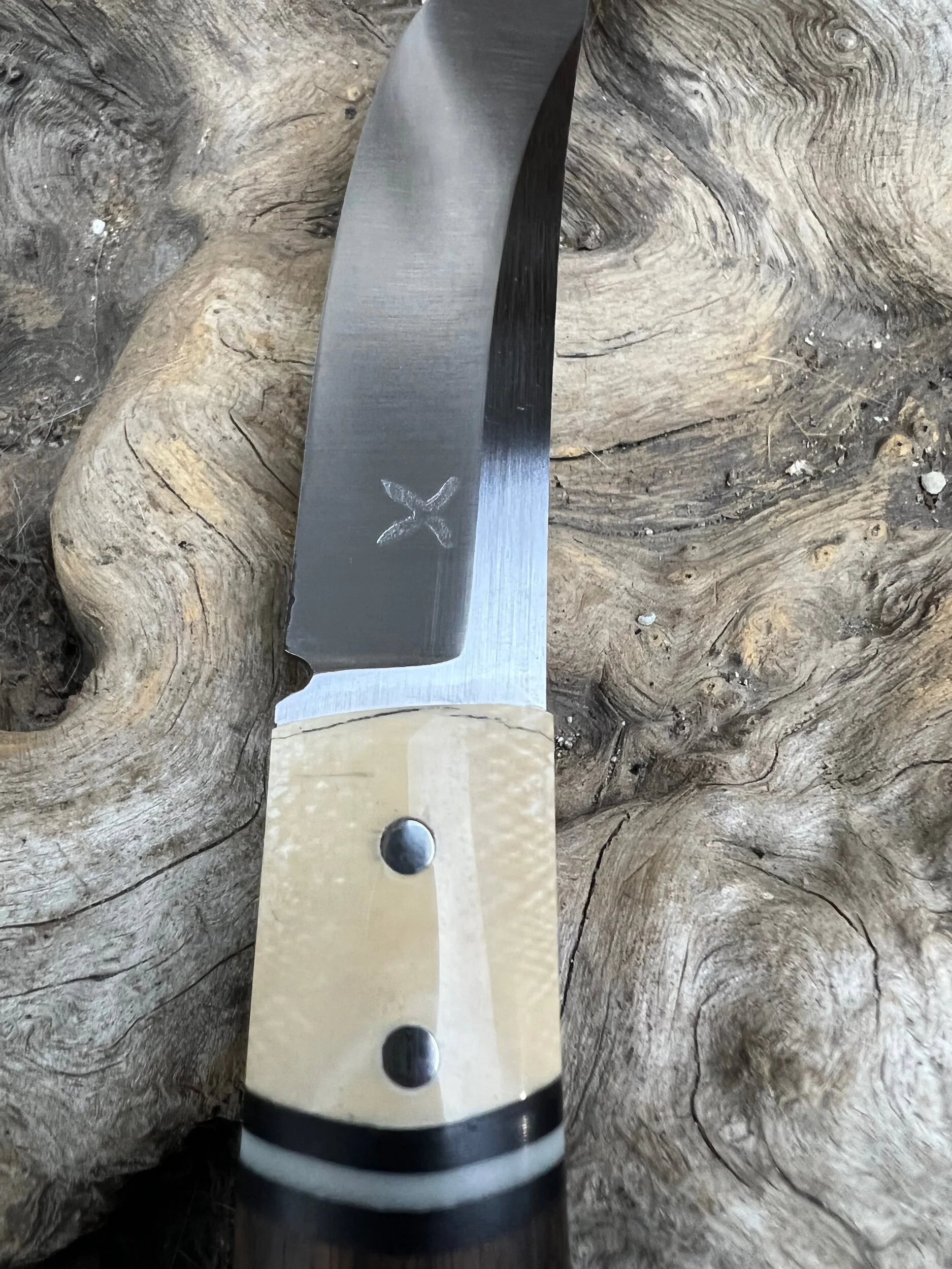 F91E9EE6-7EE6-434A-B9CC-3F7DEAF329D4