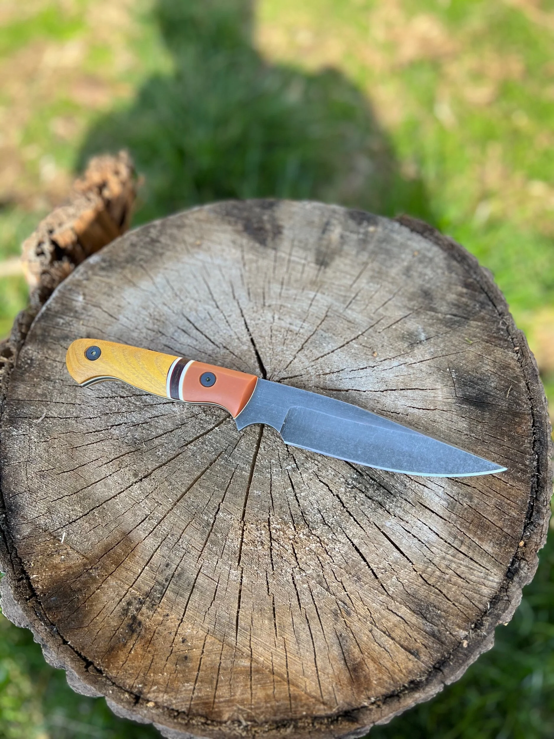 311DD0E5-D73D-45F1-9216-32349EE86981