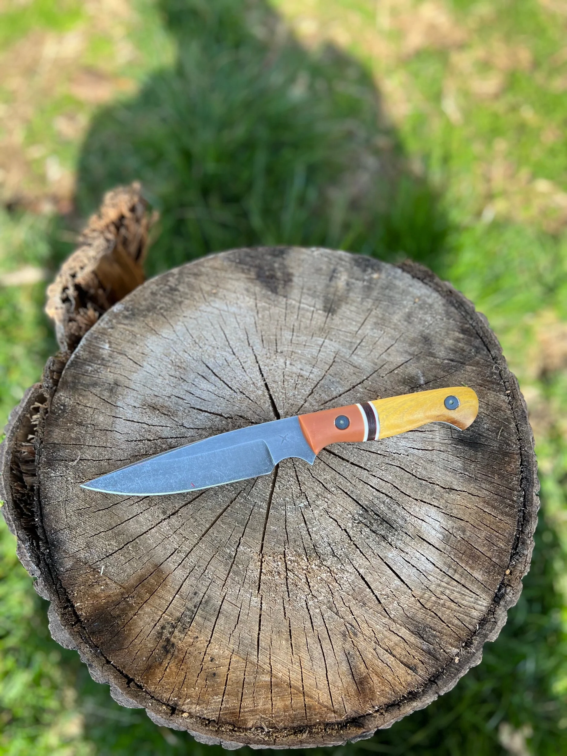 4D5F47DD-F313-4F6F-9C69-A7139CFD8E8B