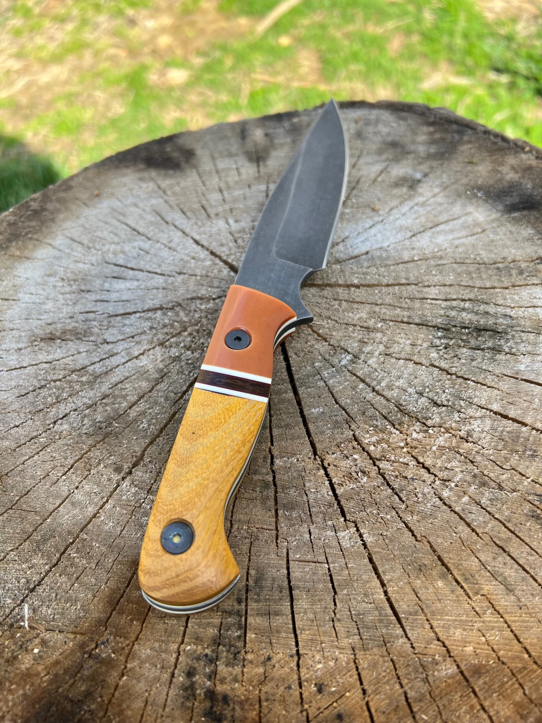 7F7F1ACD-905C-4F5E-AA31-E74880C4DF49