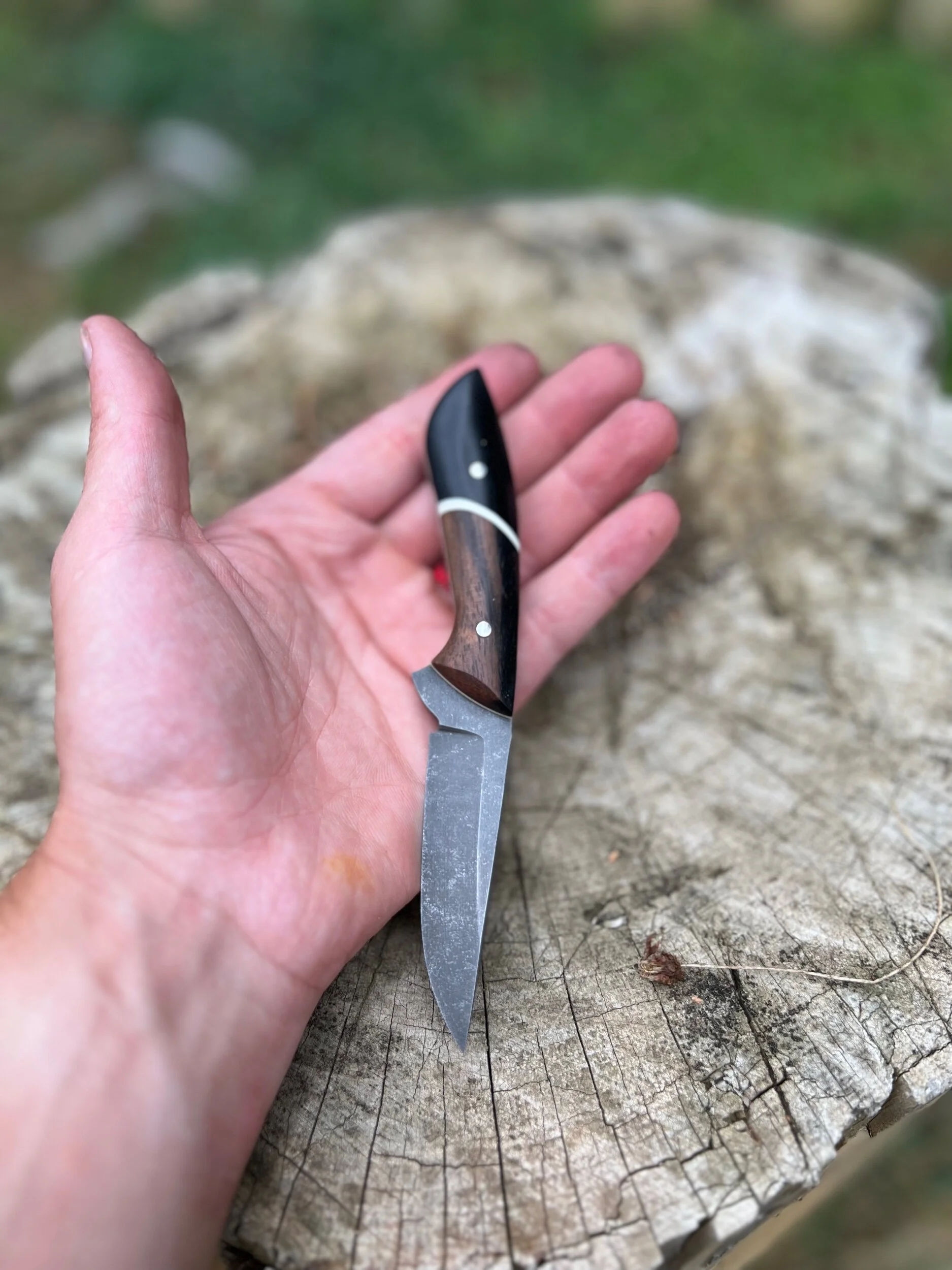 37E15D7E-1F82-46FF-9B9F-FFDB2B7E2D23