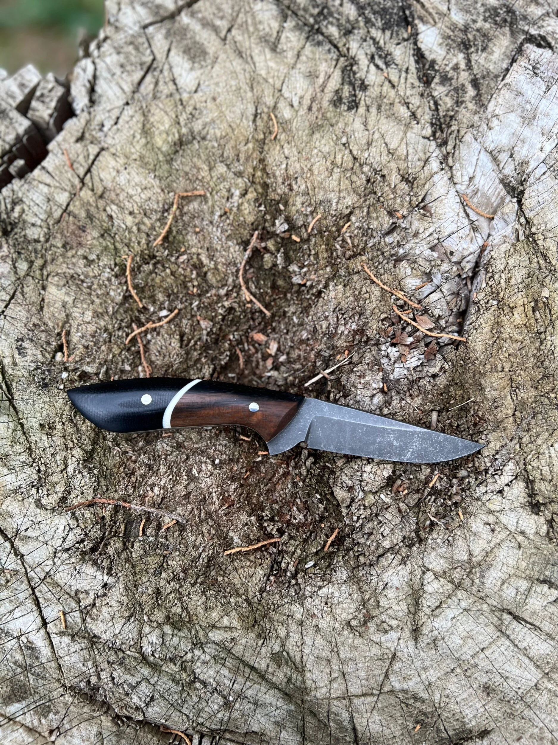 41BBCB13-9D70-49F4-AE4E-CCB12554171E