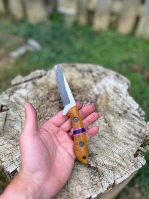 Ironwood Outfitters-Conch - Retro