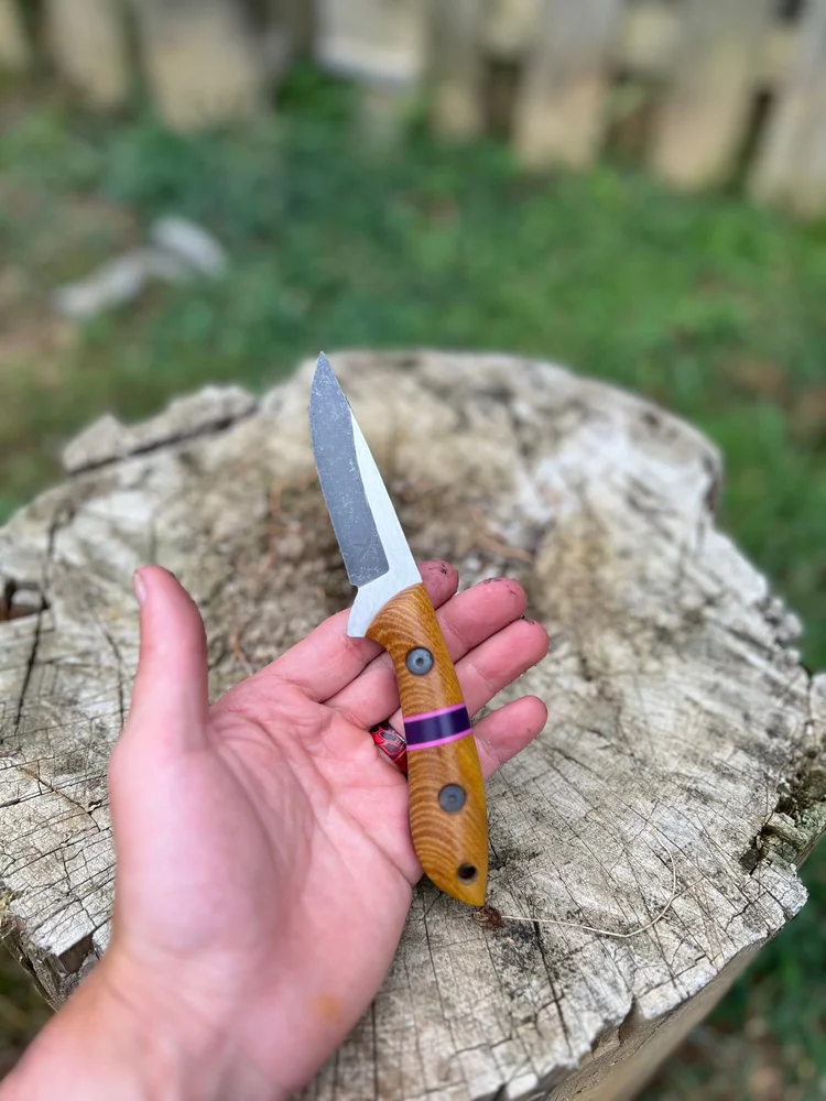 Ironwood Outfitters-Conch - Retro