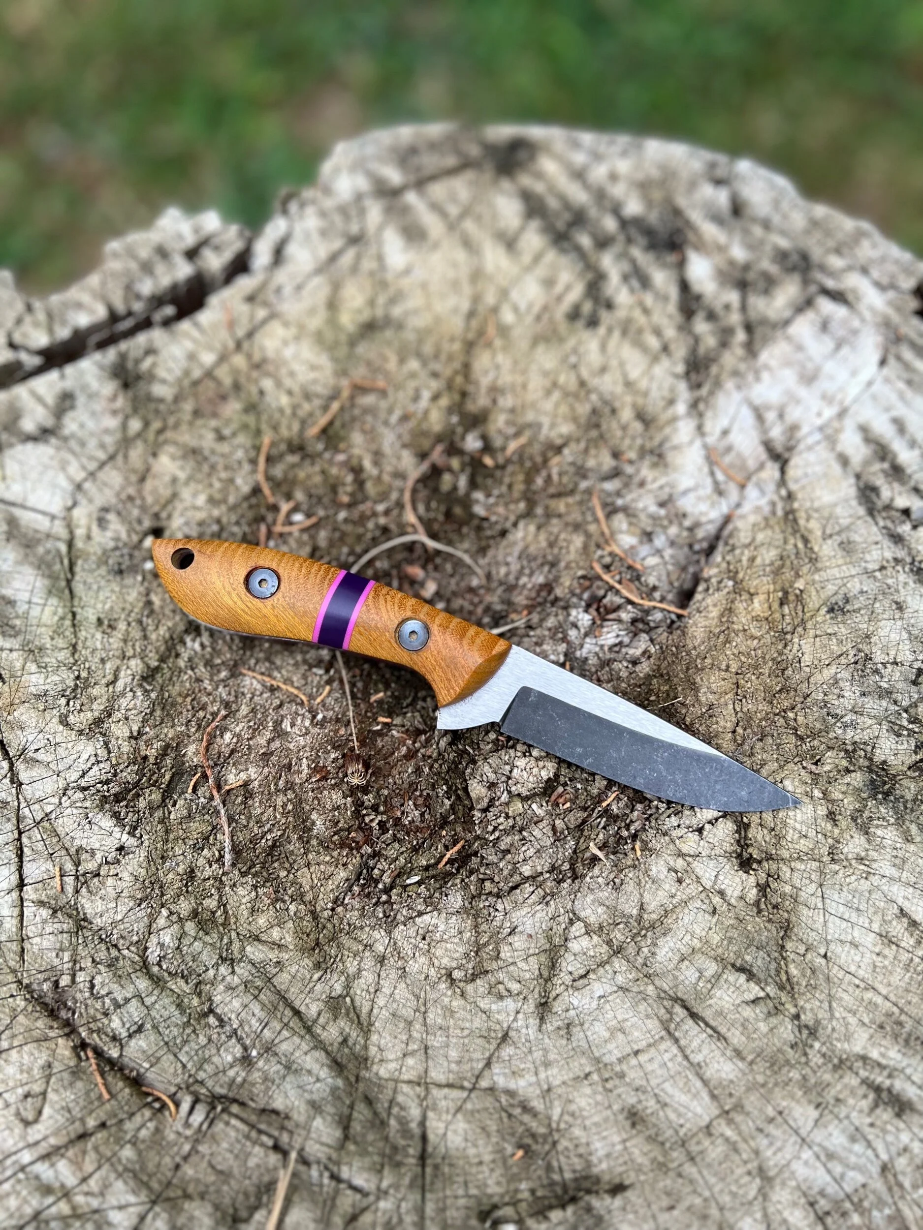 7AC36B63-2F7A-44EB-BFC1-371E9C6D3A8B