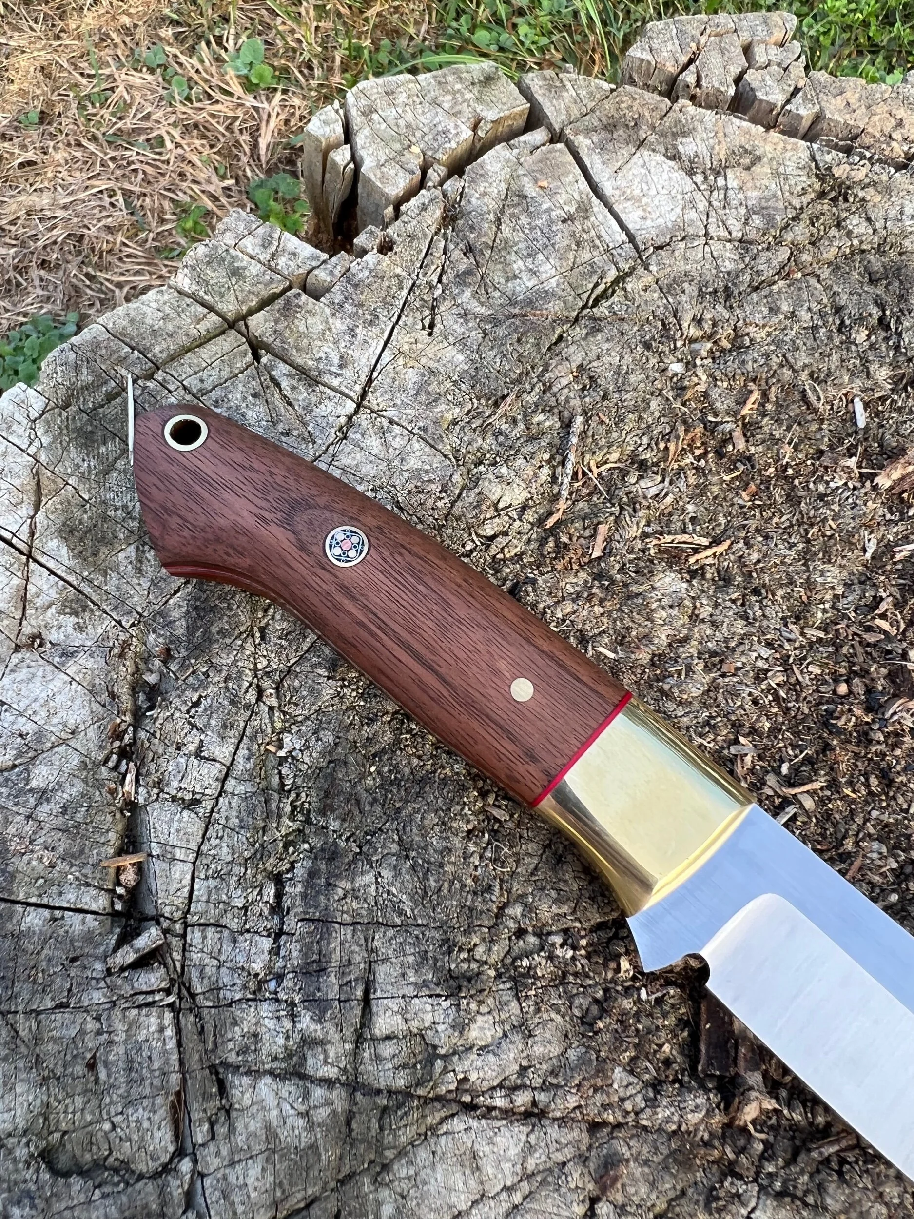 59DC9B07-9483-4E16-806E-F86C274B5A45