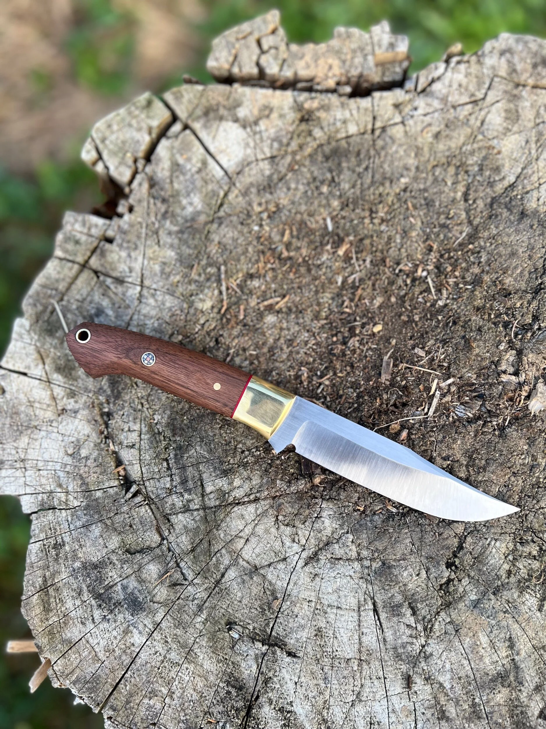 8C762B0D-AC4C-4AAC-BF28-CF6F53A8CF7C