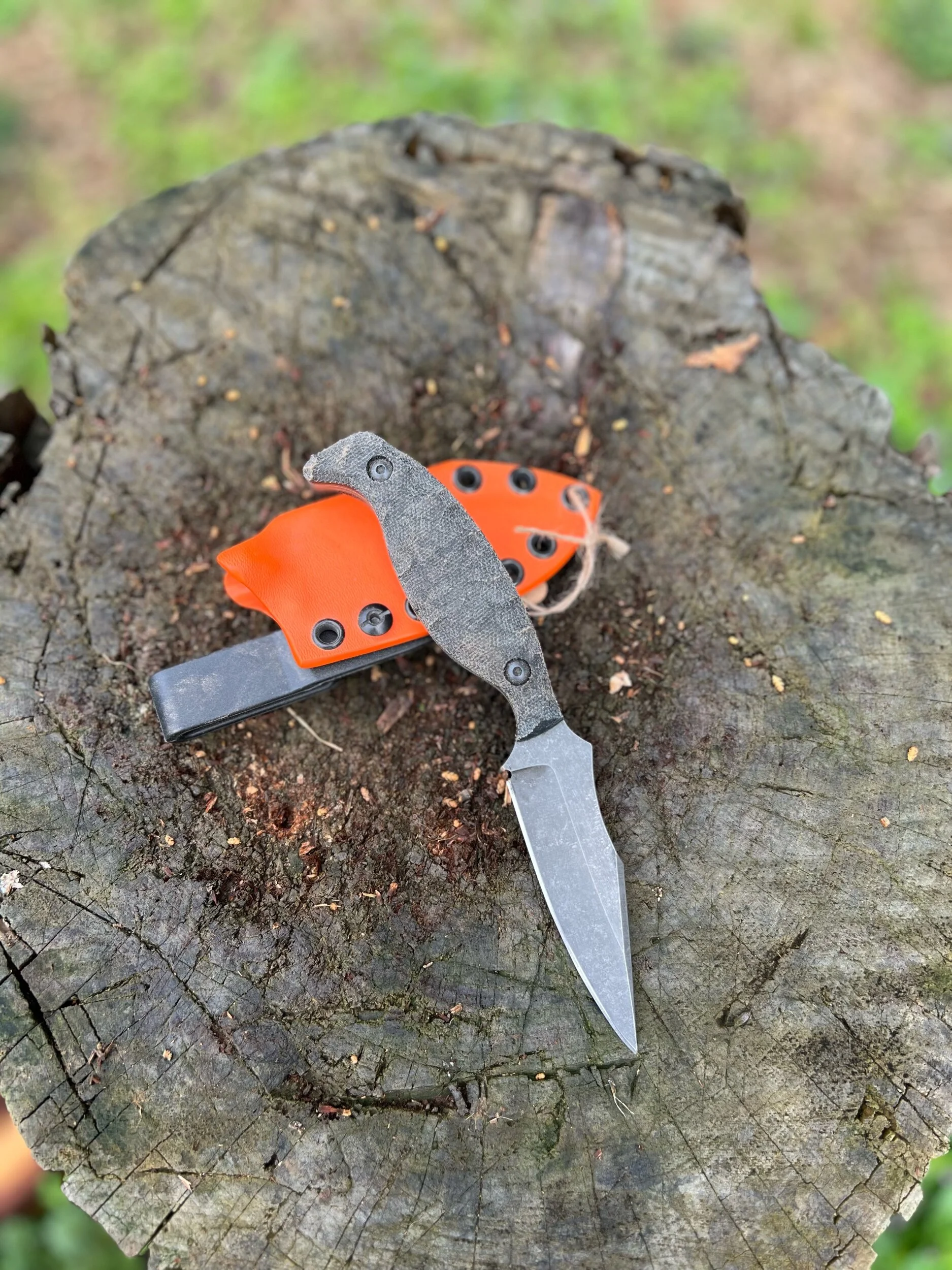 A815A0A8-7A25-491C-8E2B-80A28A5520EE