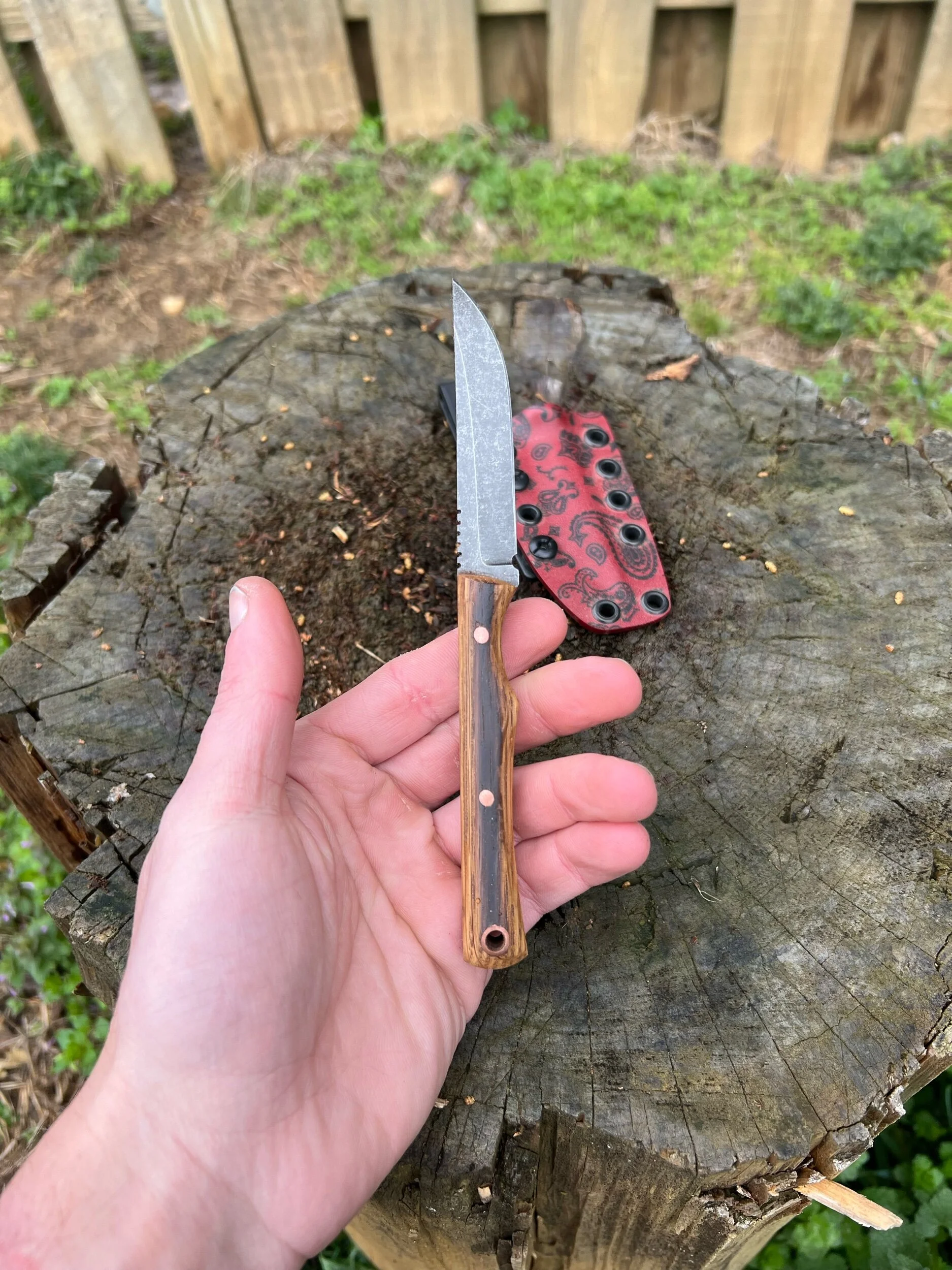 0631D619-D2DF-4A53-810E-2E14B70C5869