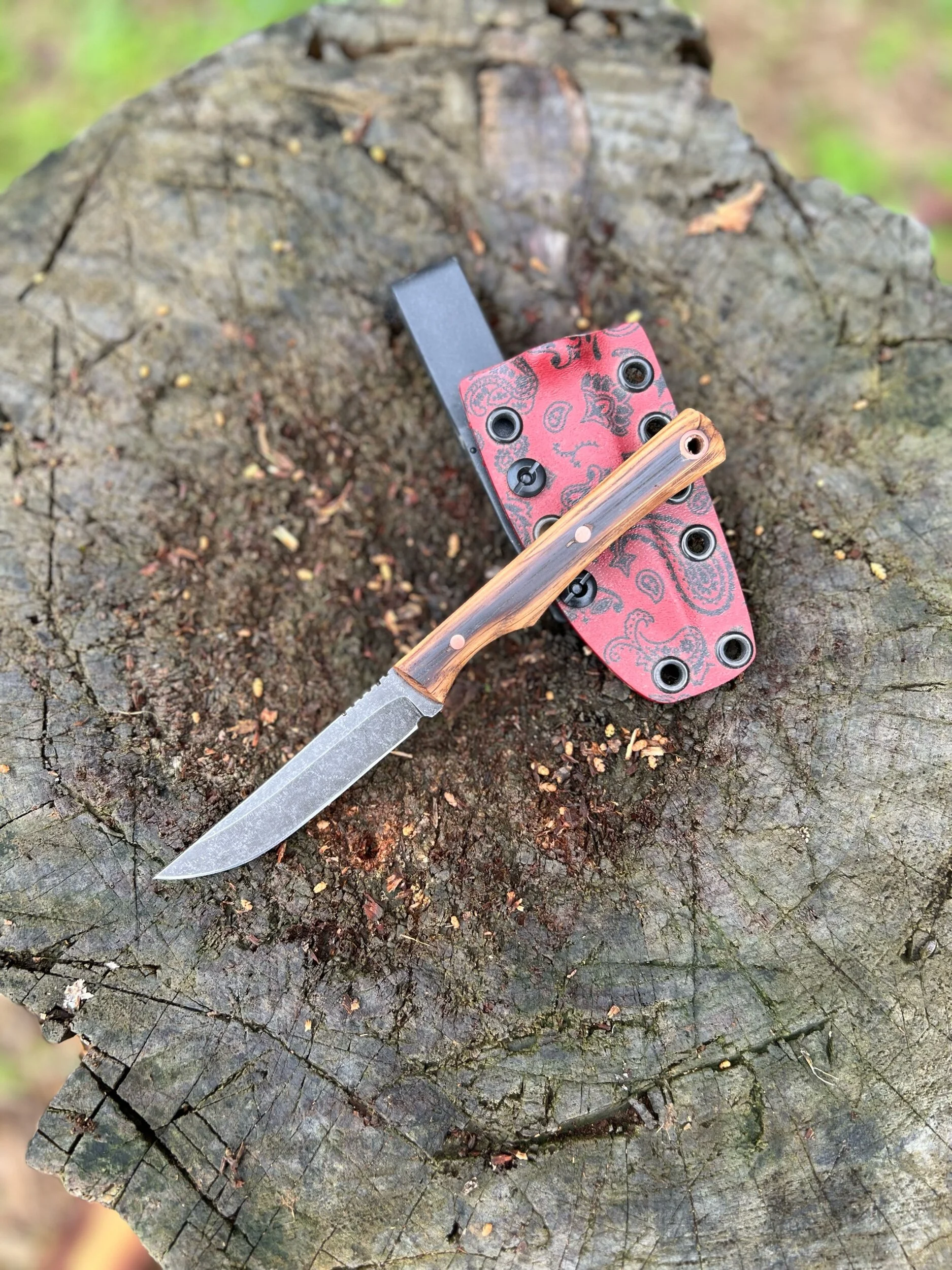 EC016EAF-C133-4961-B4AD-190D93DACC5B