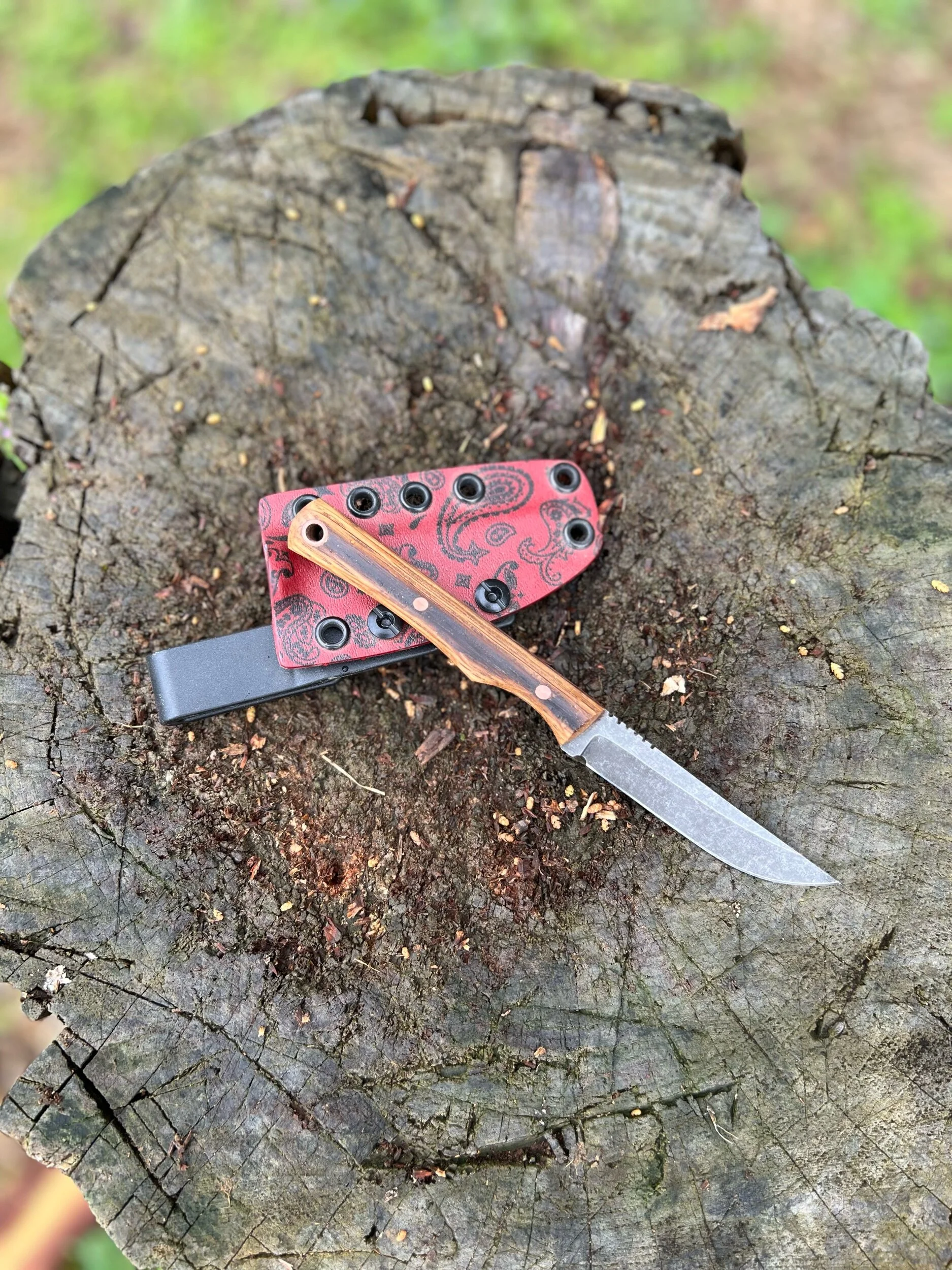 66F44F07-B8F8-4C64-BD15-66FDA2AFF4DE