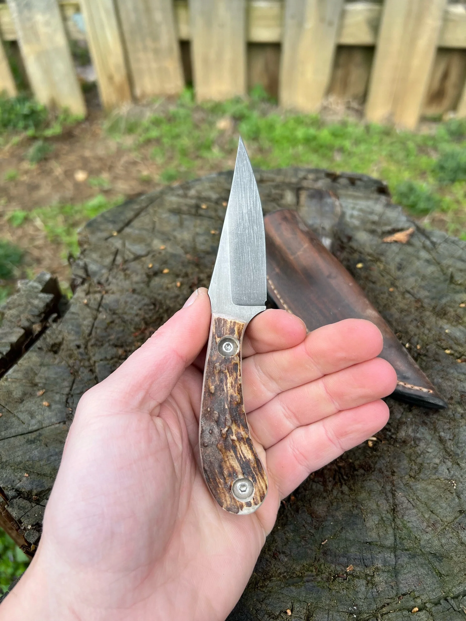 E6E3A727-D18C-4BEE-A62D-1C787F3367E4