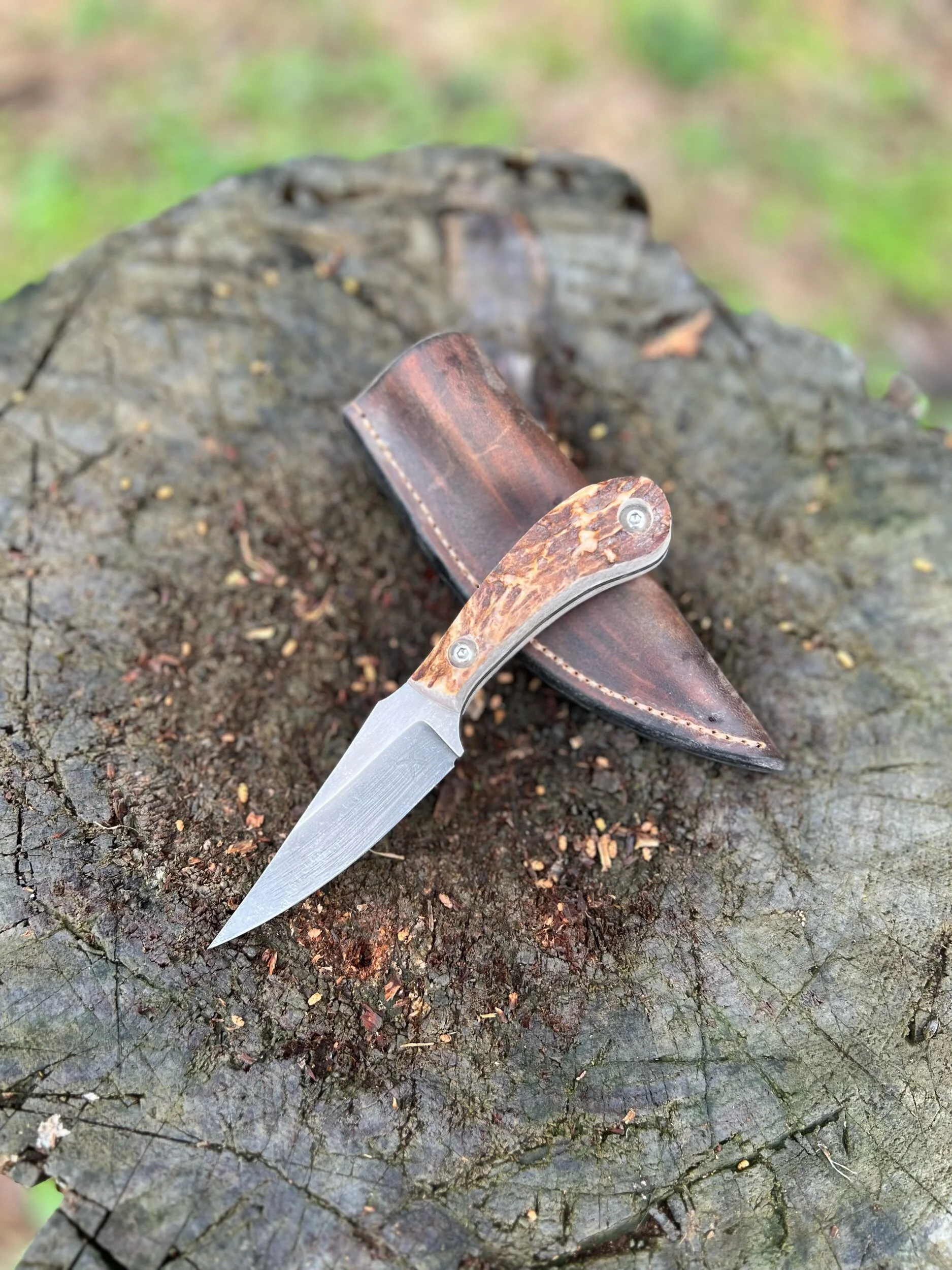 87A872FE-0273-40DC-910B-36CC7269BF5E