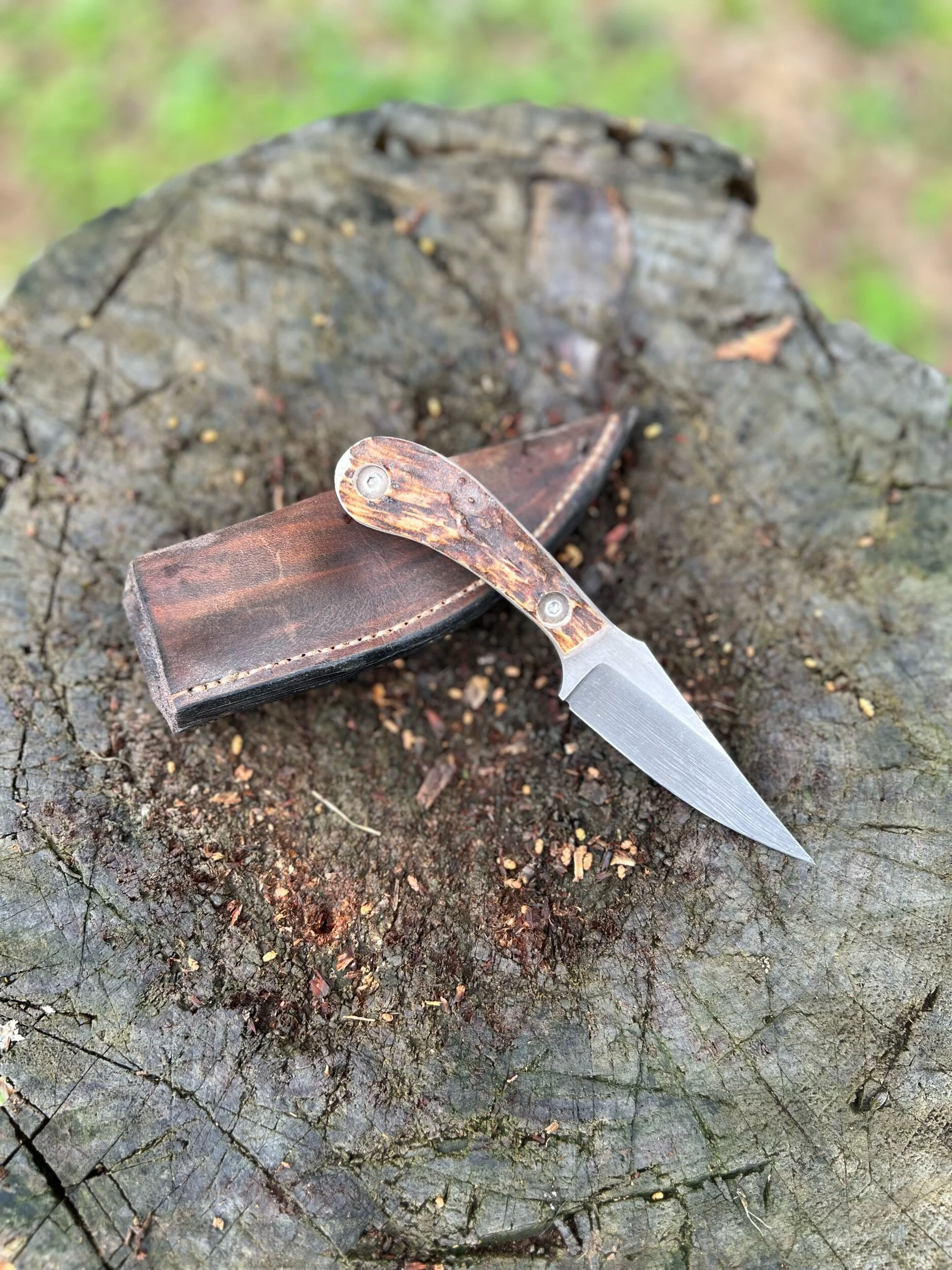 BF4DD246-3EBA-4485-8999-D0D74E5772BD