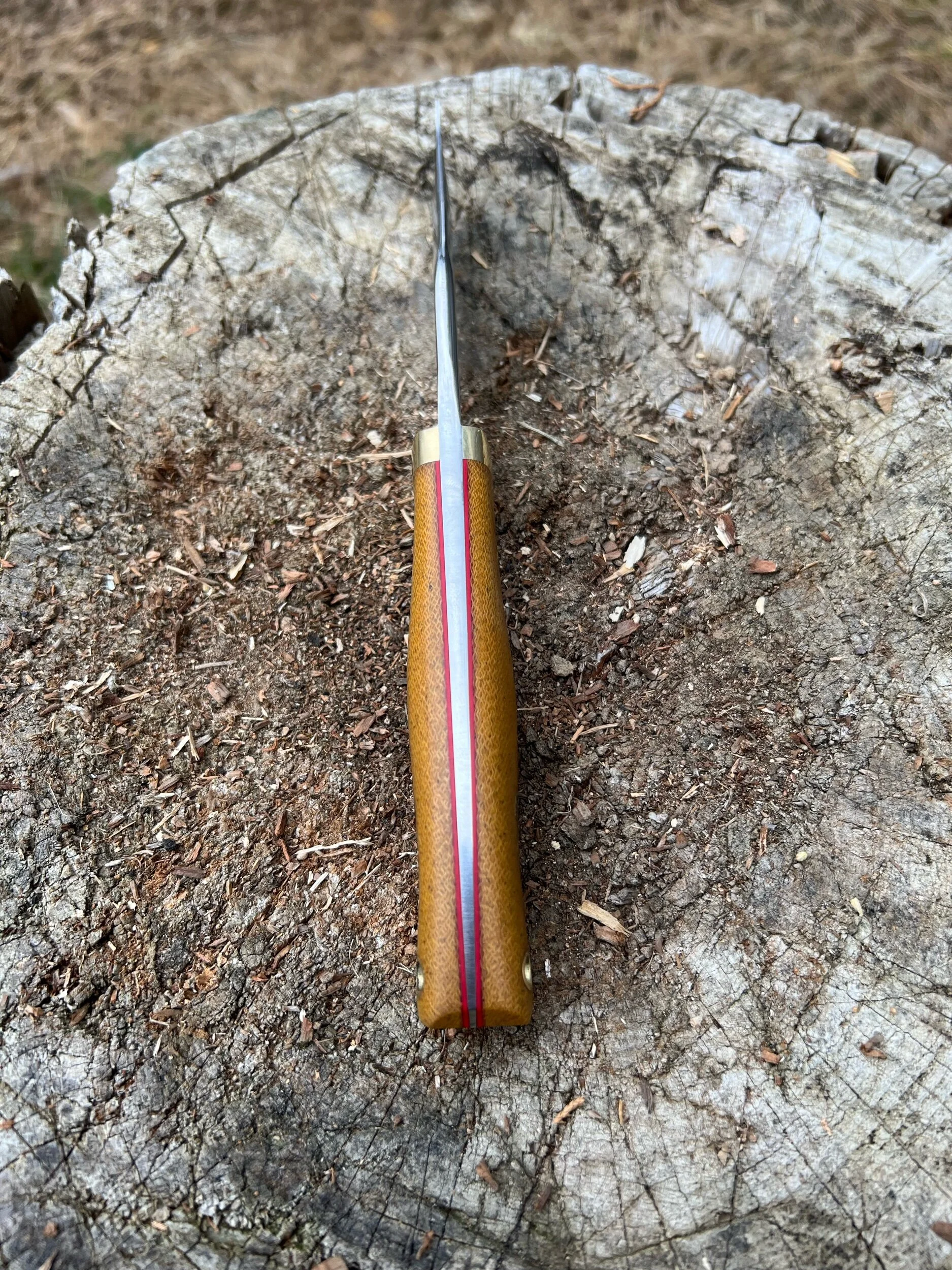 1E32CEAD-F203-4F9A-B085-2BC4ECB520E6