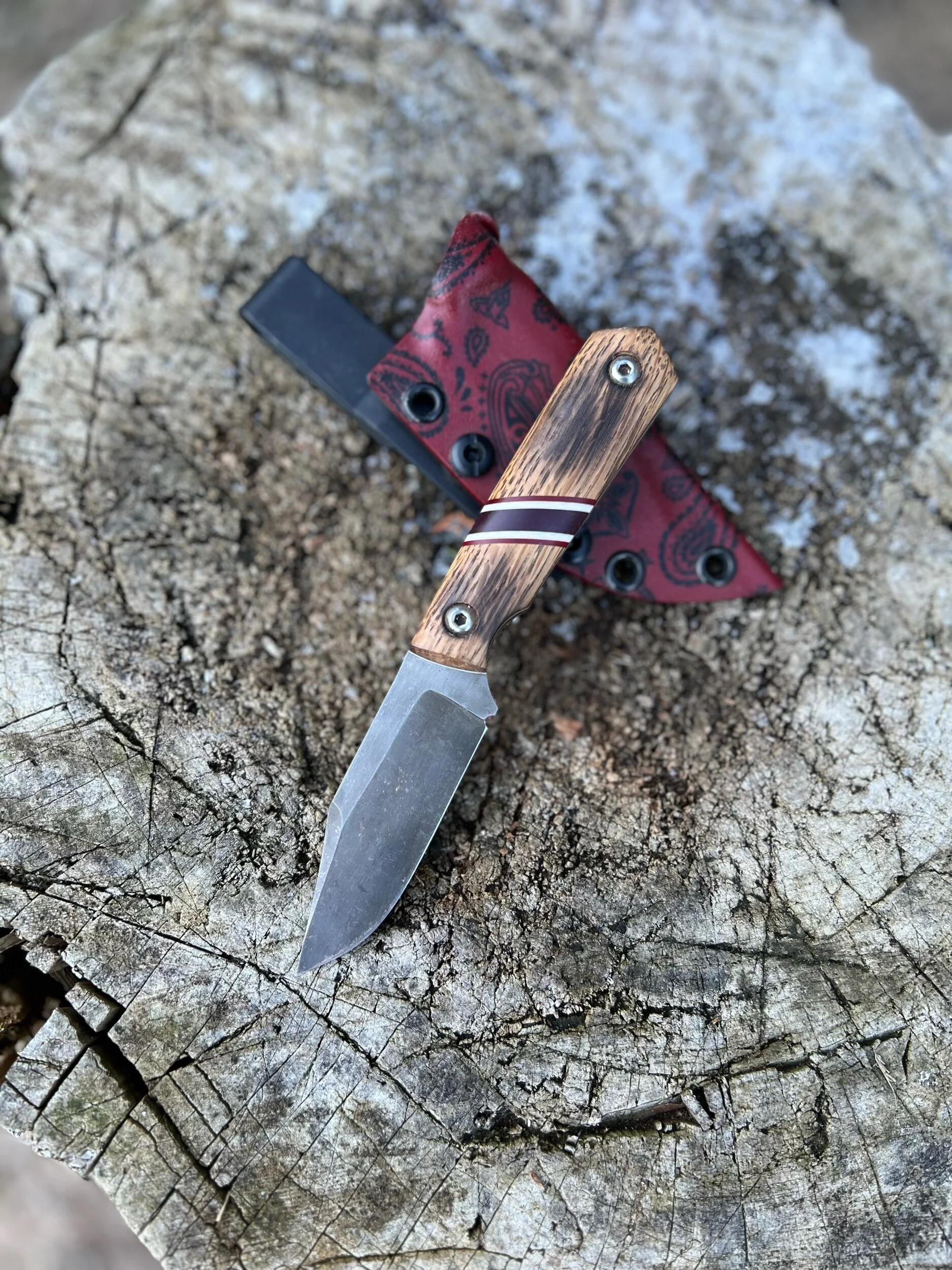 61AC657E-7C8D-40F9-B27C-8491F8E83DBA