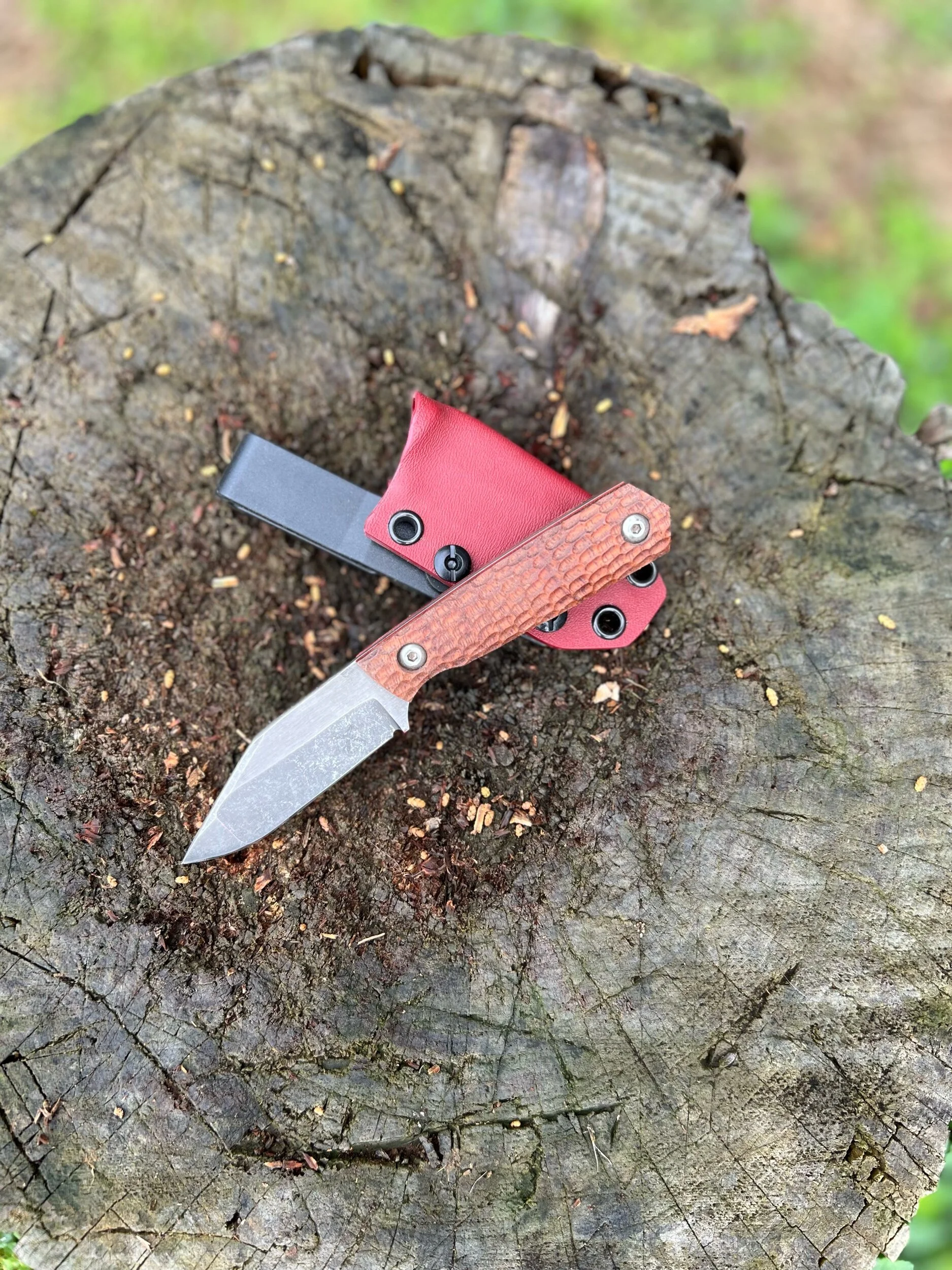 5C3B0B4F-E916-49C0-A6CB-88B7446A8371