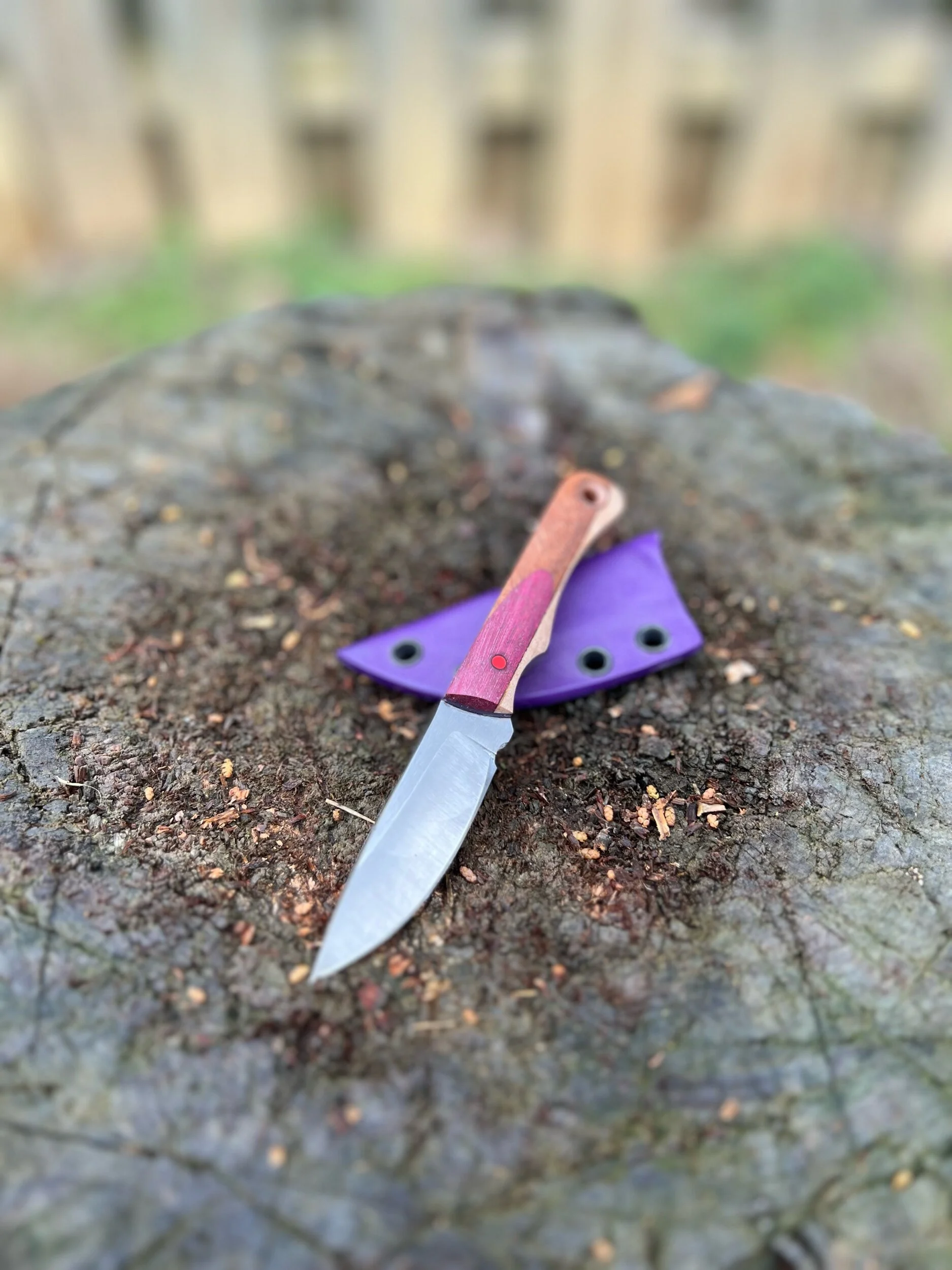 3155CCEF-5D2E-446B-9342-FDB582682C6B