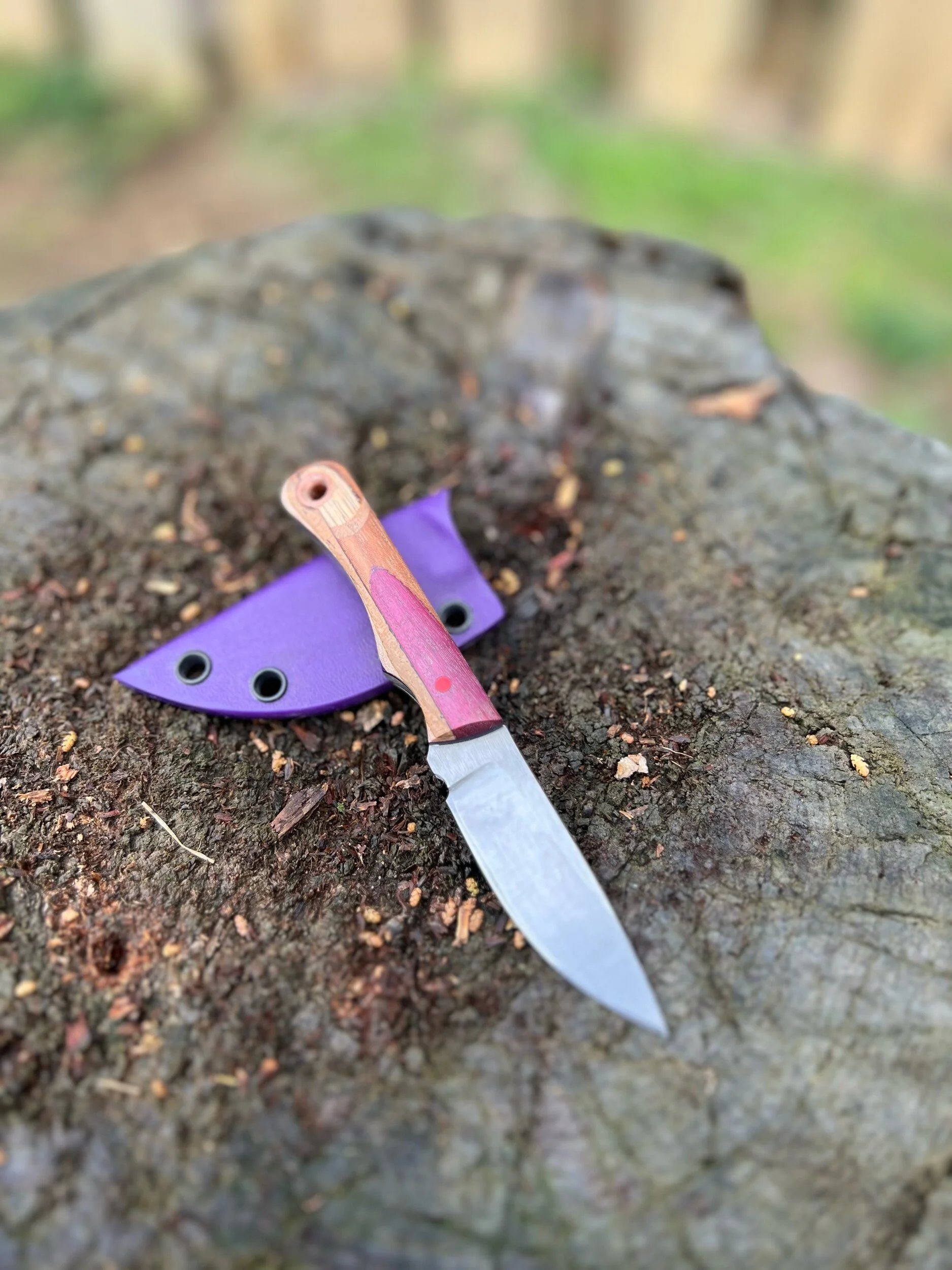 64ED3922-E527-4F22-832C-08B203C0BD23