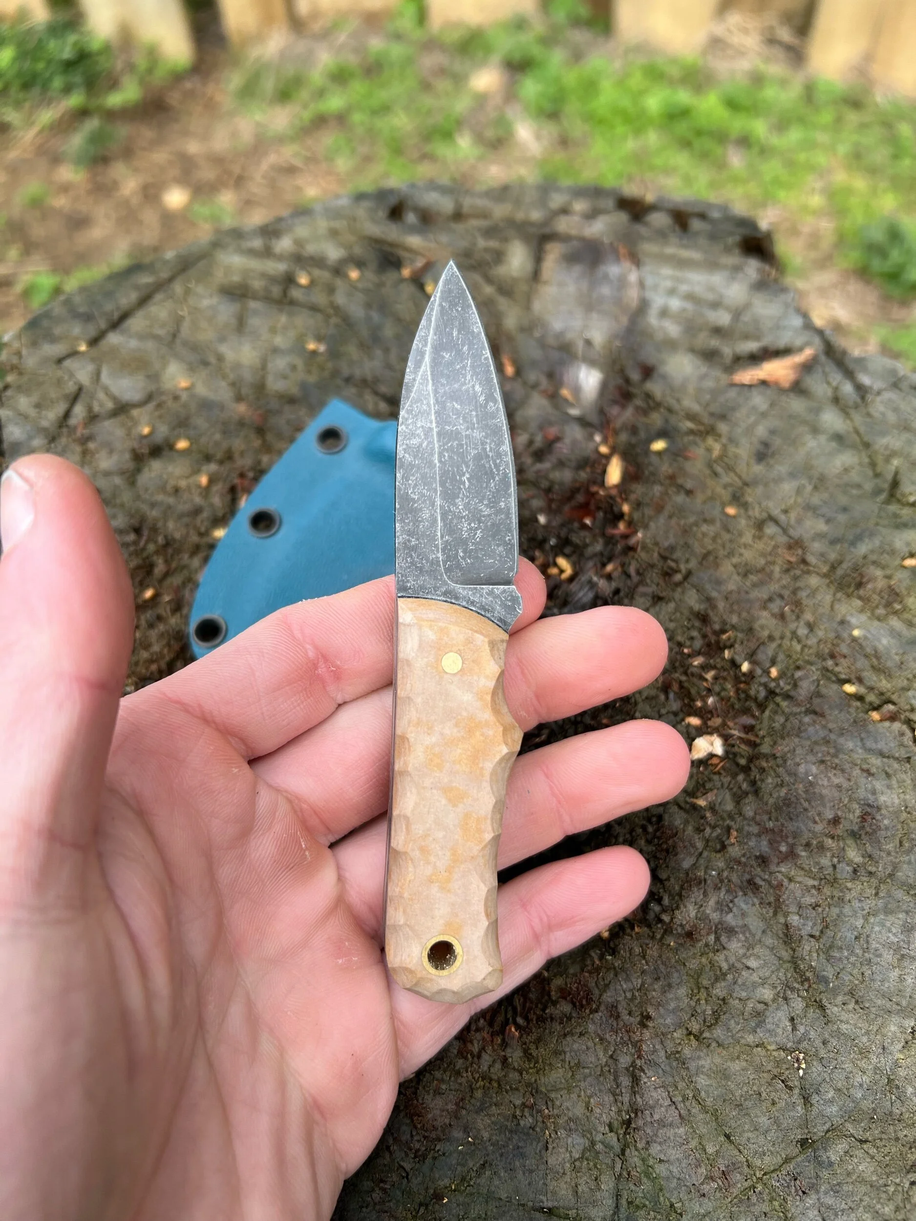 FFB83AE5-FBF2-4B01-9B9C-D2BDEDB29519