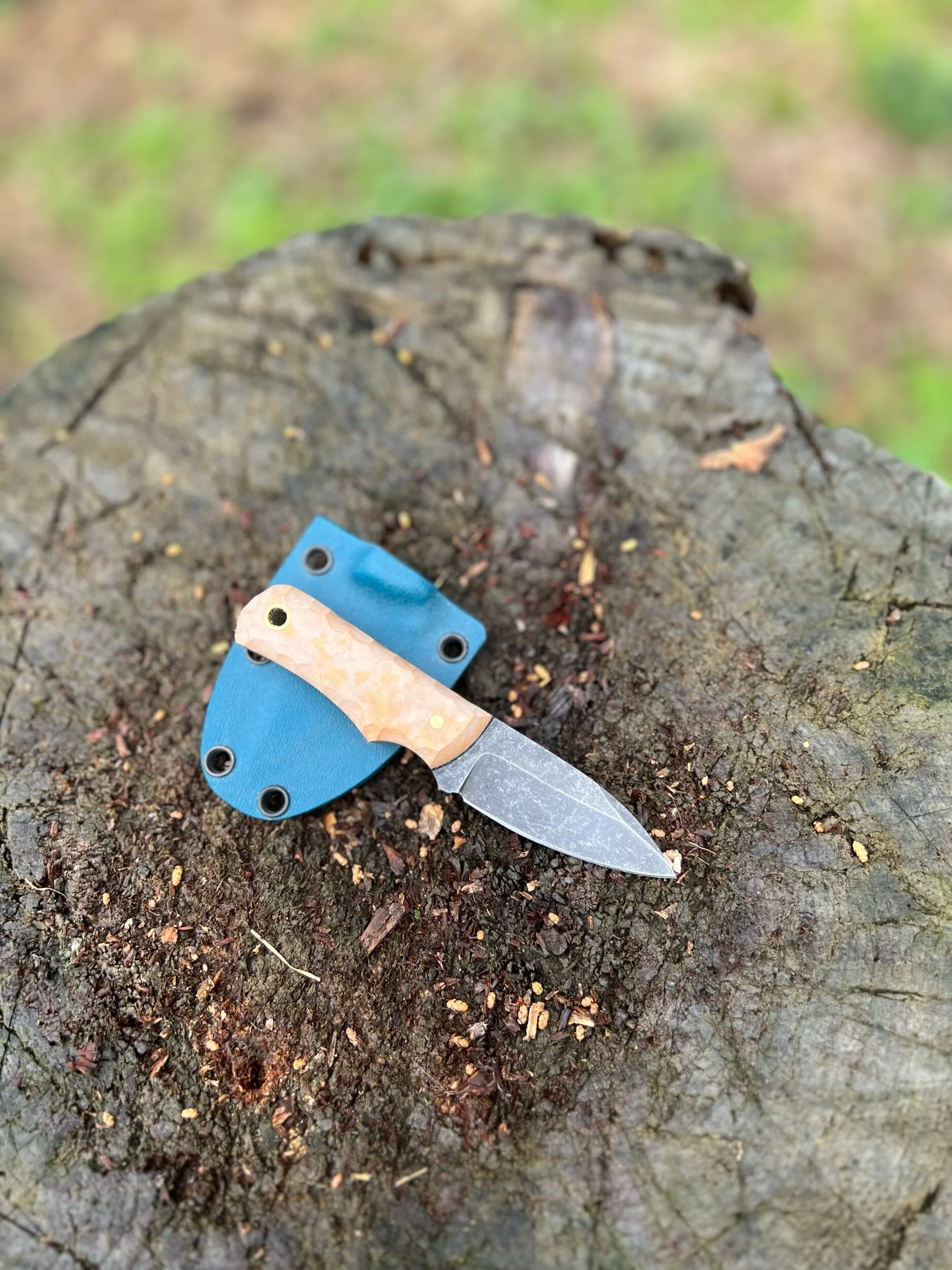 B560CA0A-A209-4F50-8FD6-6D4A017F0D13