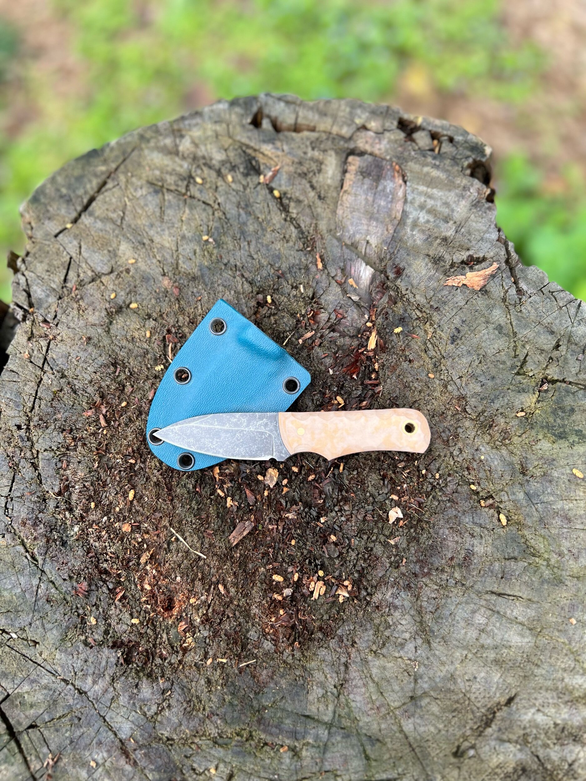 4C08EDFE-5119-4571-B73F-DE0124A92F93