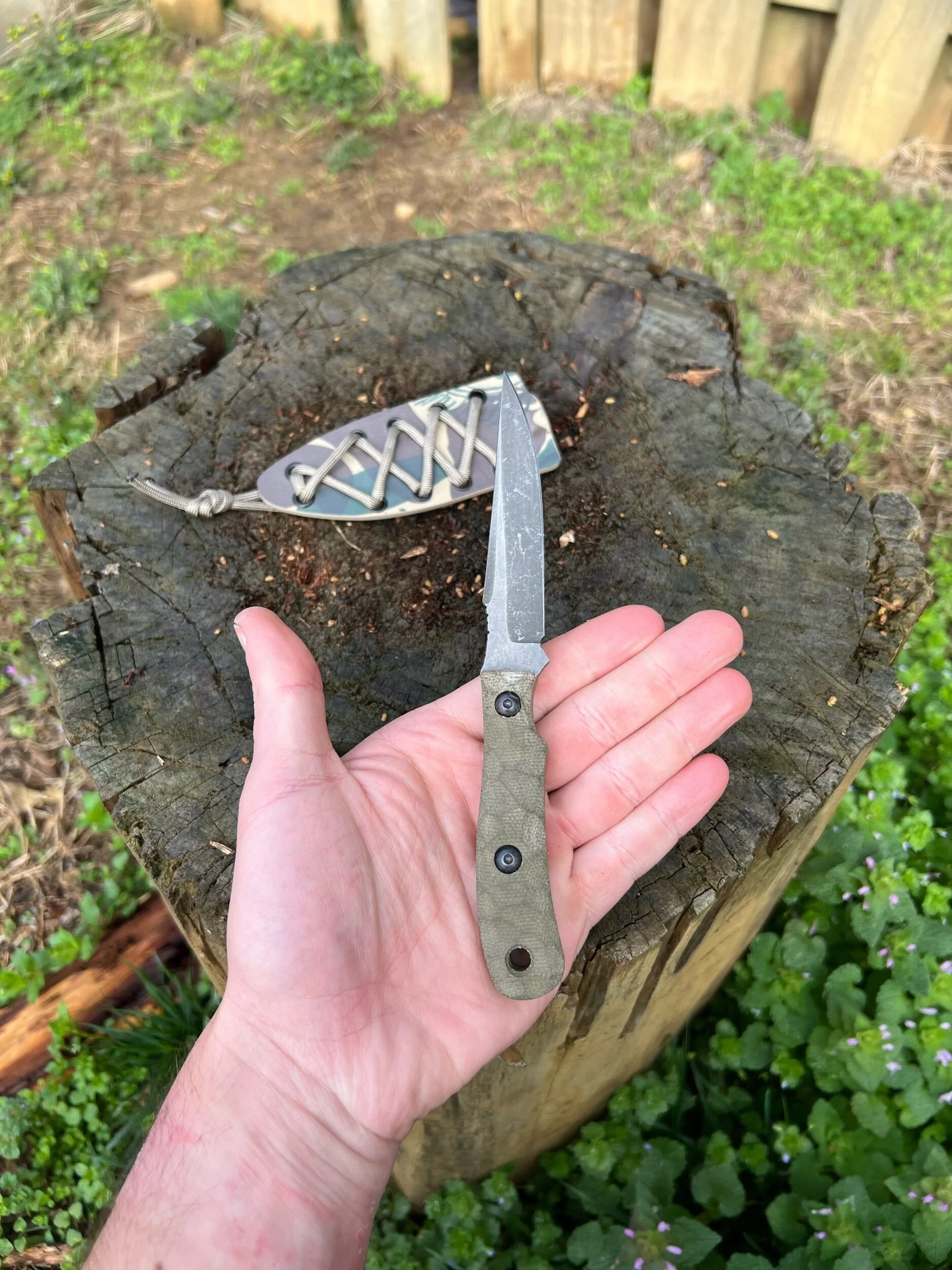 45A495FB-390C-465E-A0F5-3FA534ED3351