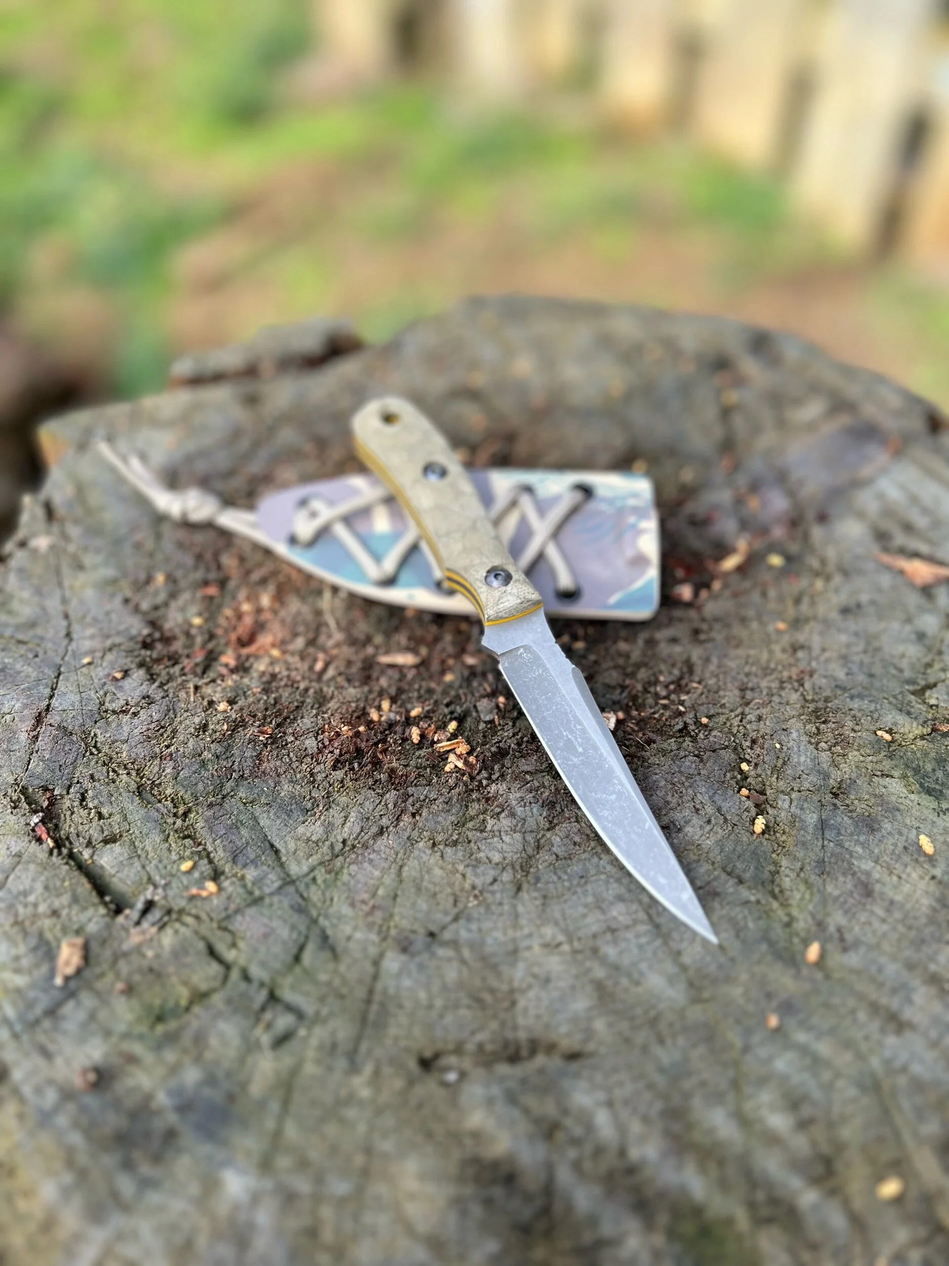 15DFD7FF-BE02-4893-9053-C354041AAF7B