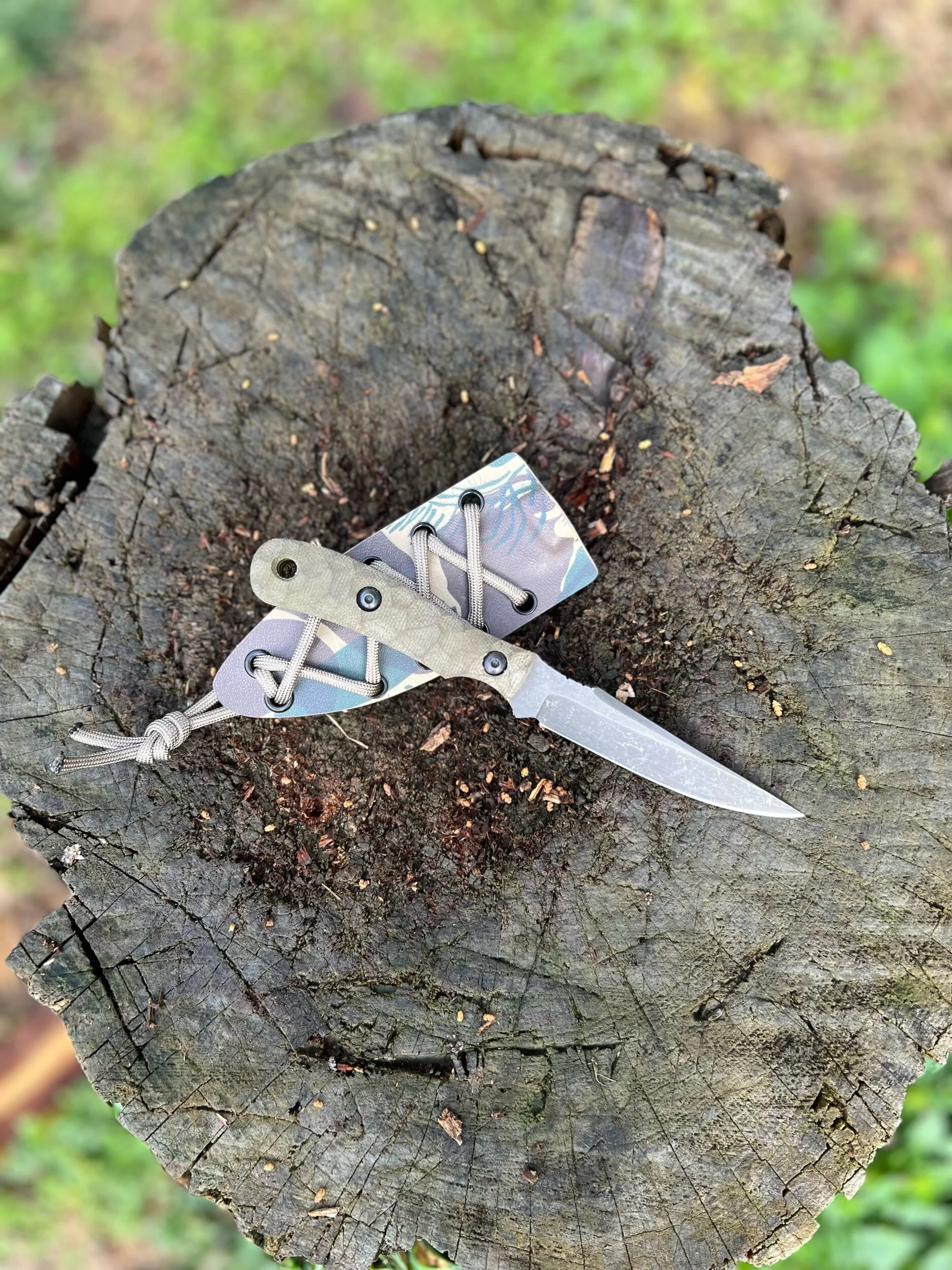 95F103A7-9F35-463F-9674-44B433DA7B0E