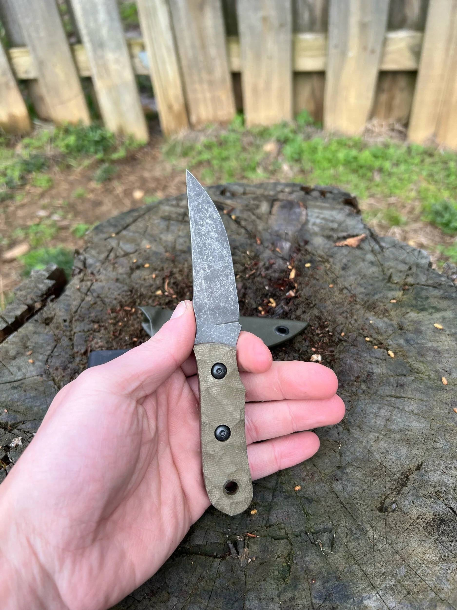 8CB3B9A9-EF5E-4B69-BEFE-AD14EC6B4875