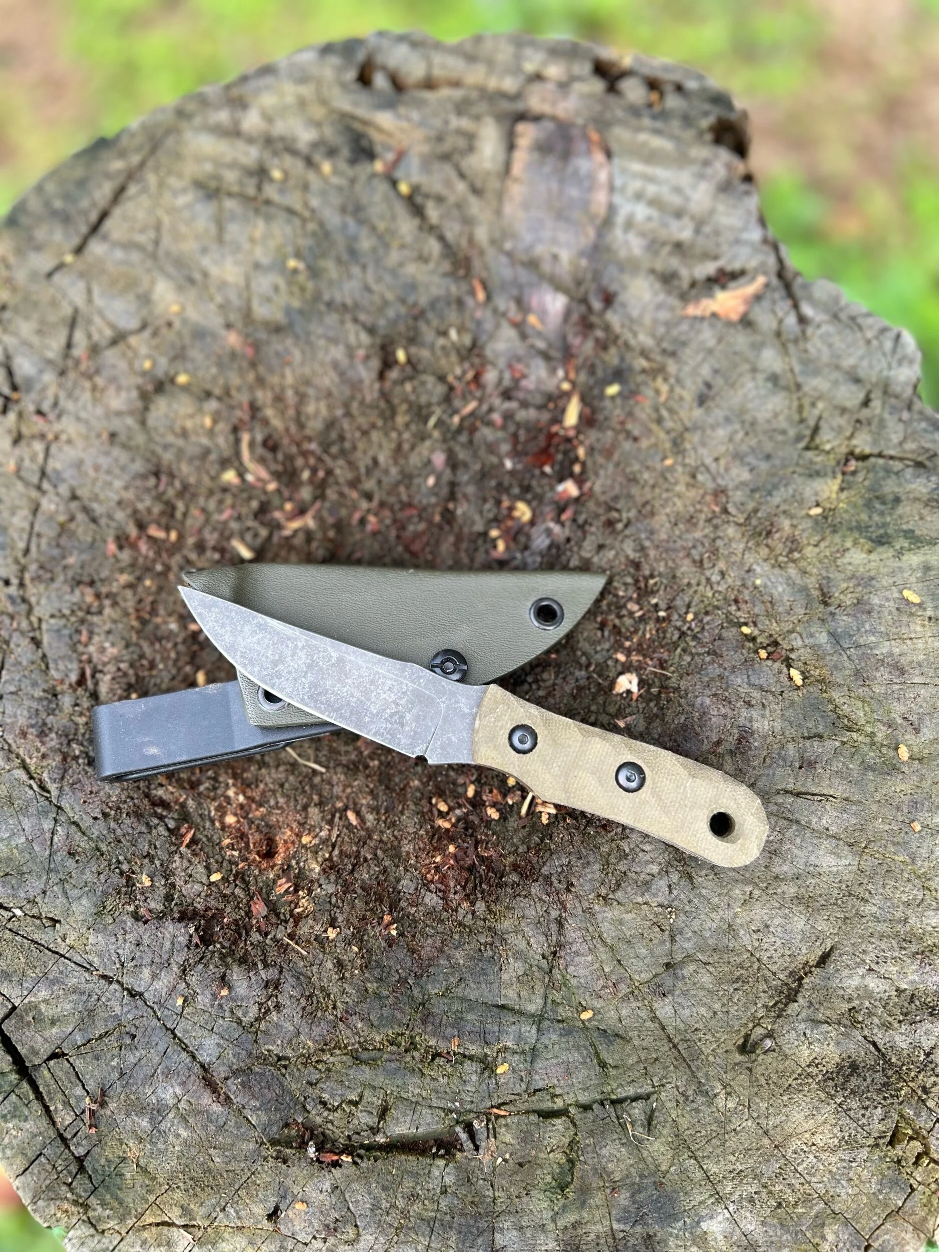 1D13247E-F7B5-45FE-BC75-35B87F9F6585