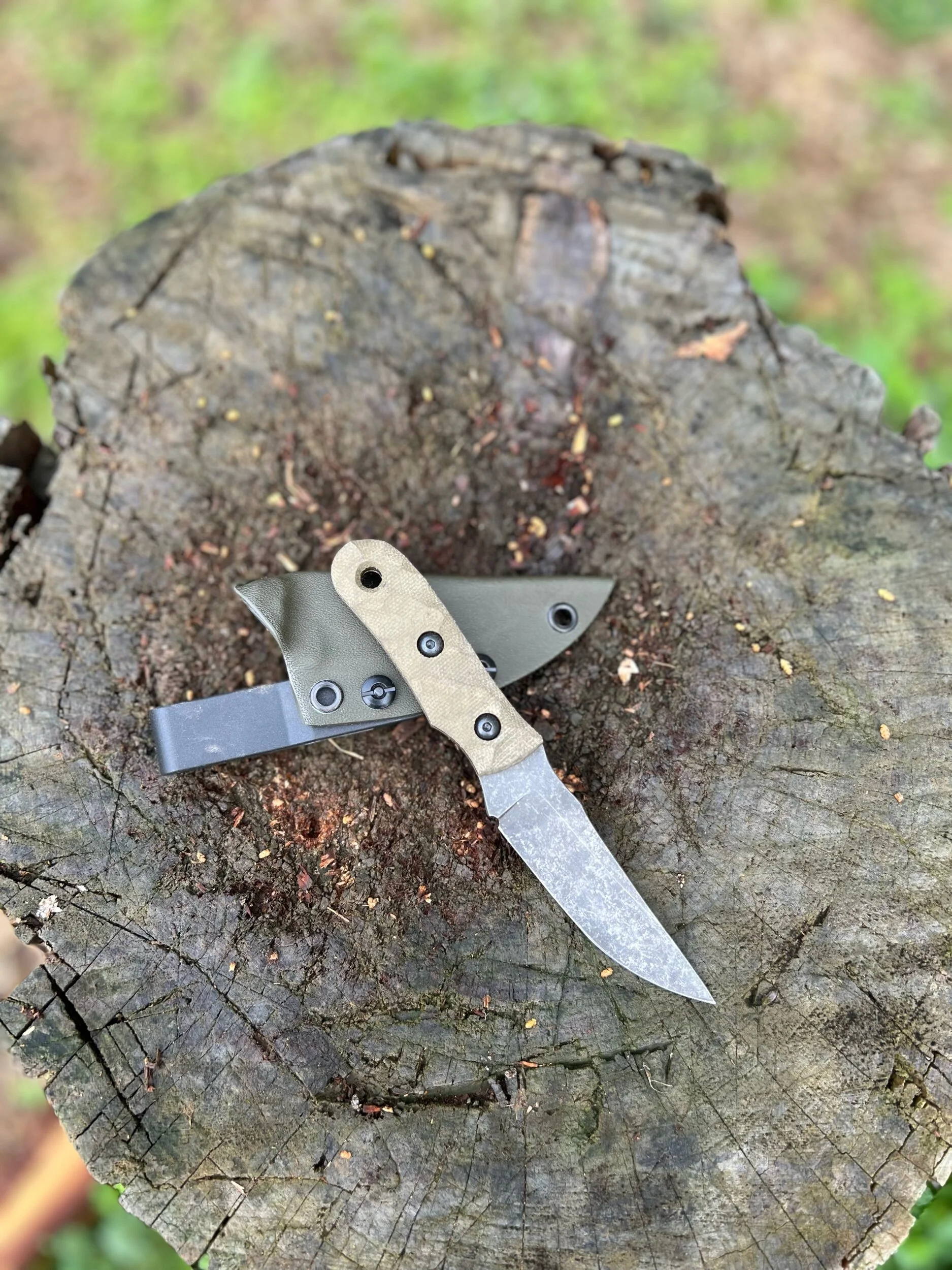 43A3BBF1-0CDB-428D-840F-828FDDC89C9F