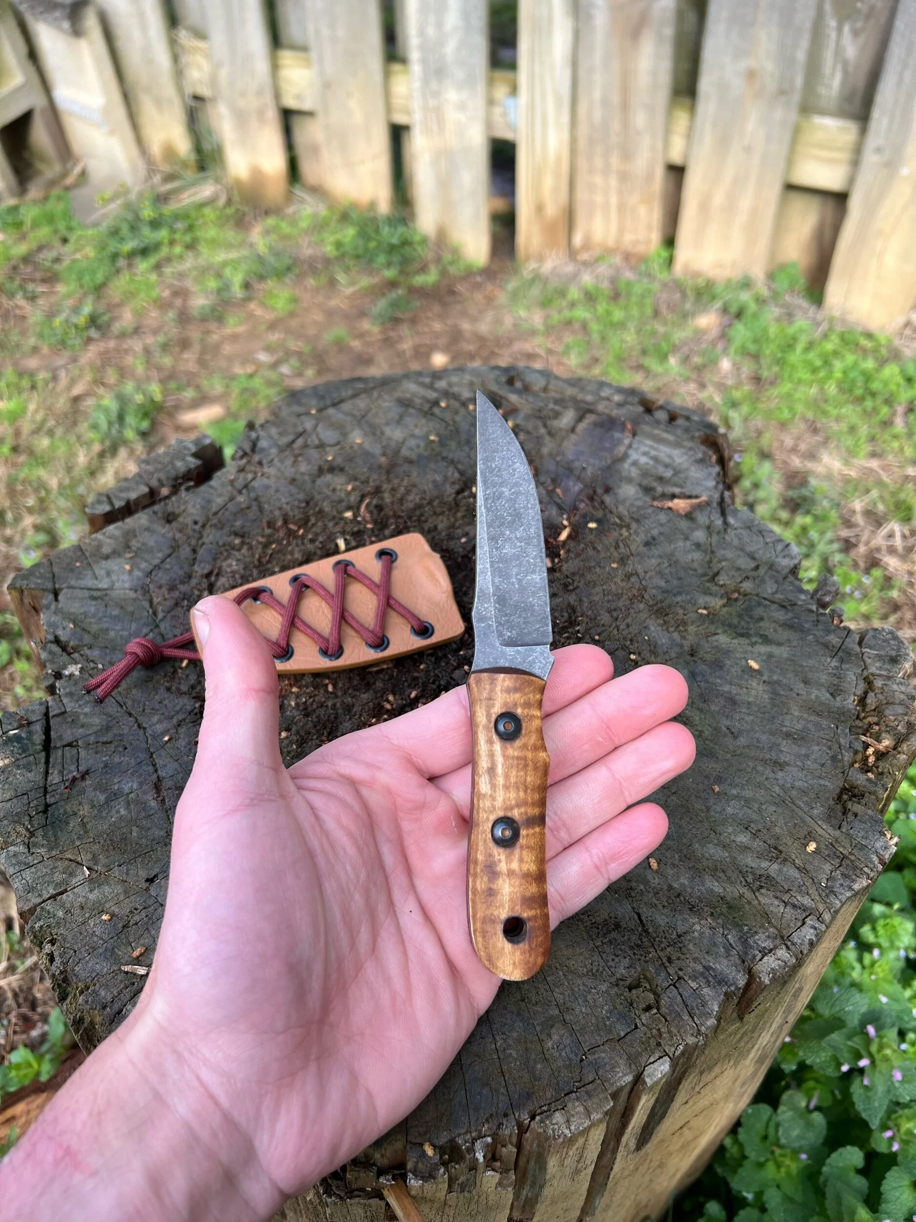 EDBE568D-4A59-4EDE-A619-A947707A5A56