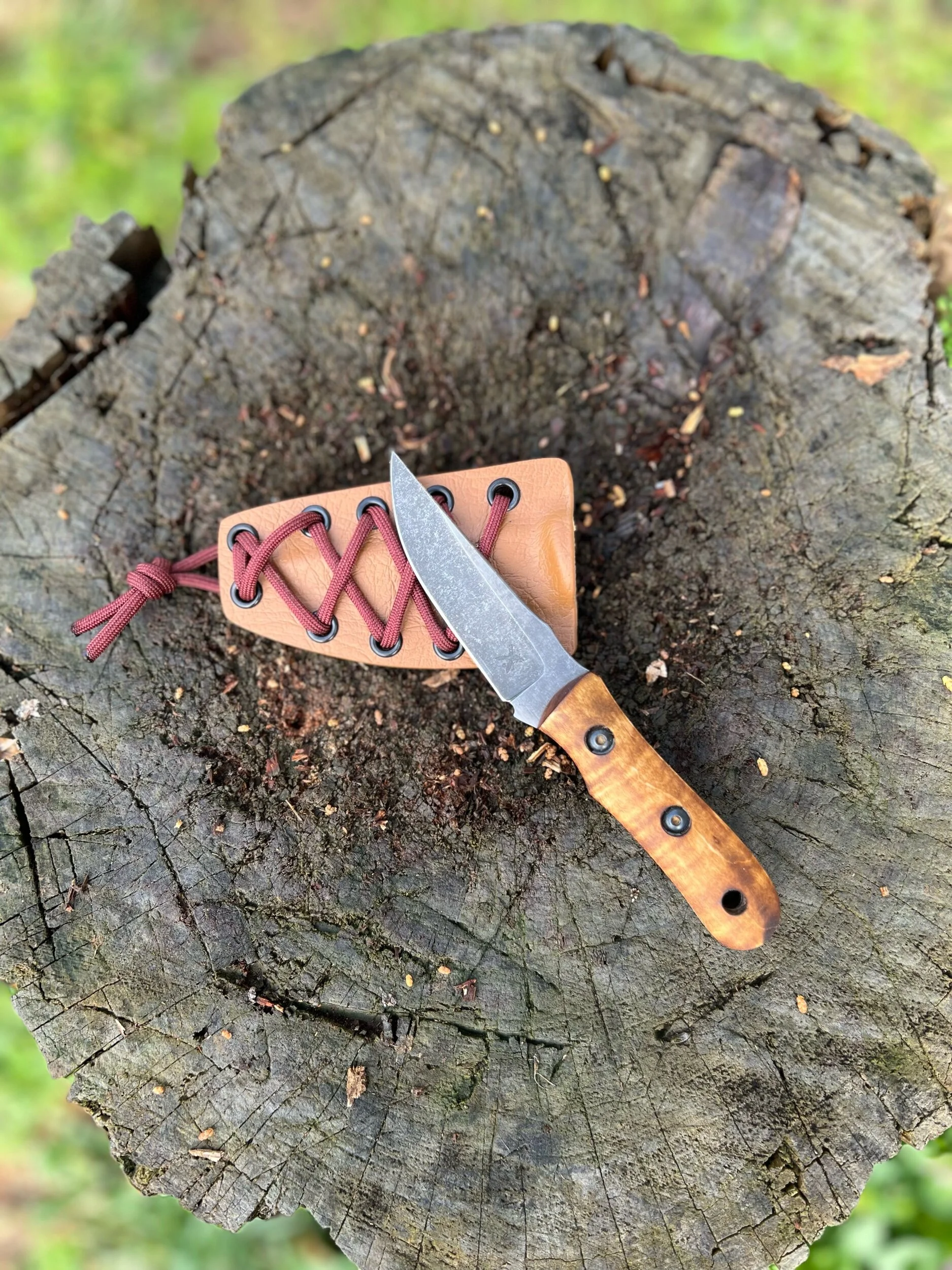 97802F82-5FBF-4258-A84E-34B0418FD2C1