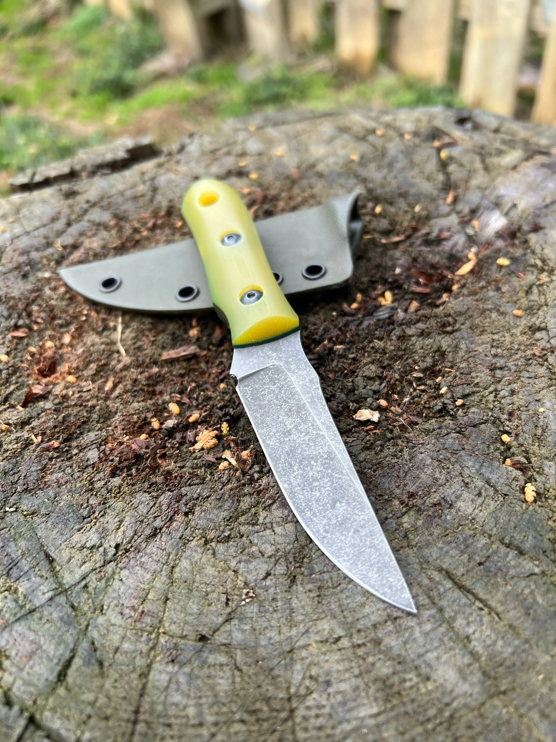 C51DE31B-BF88-4542-8C94-DE10BD153C03