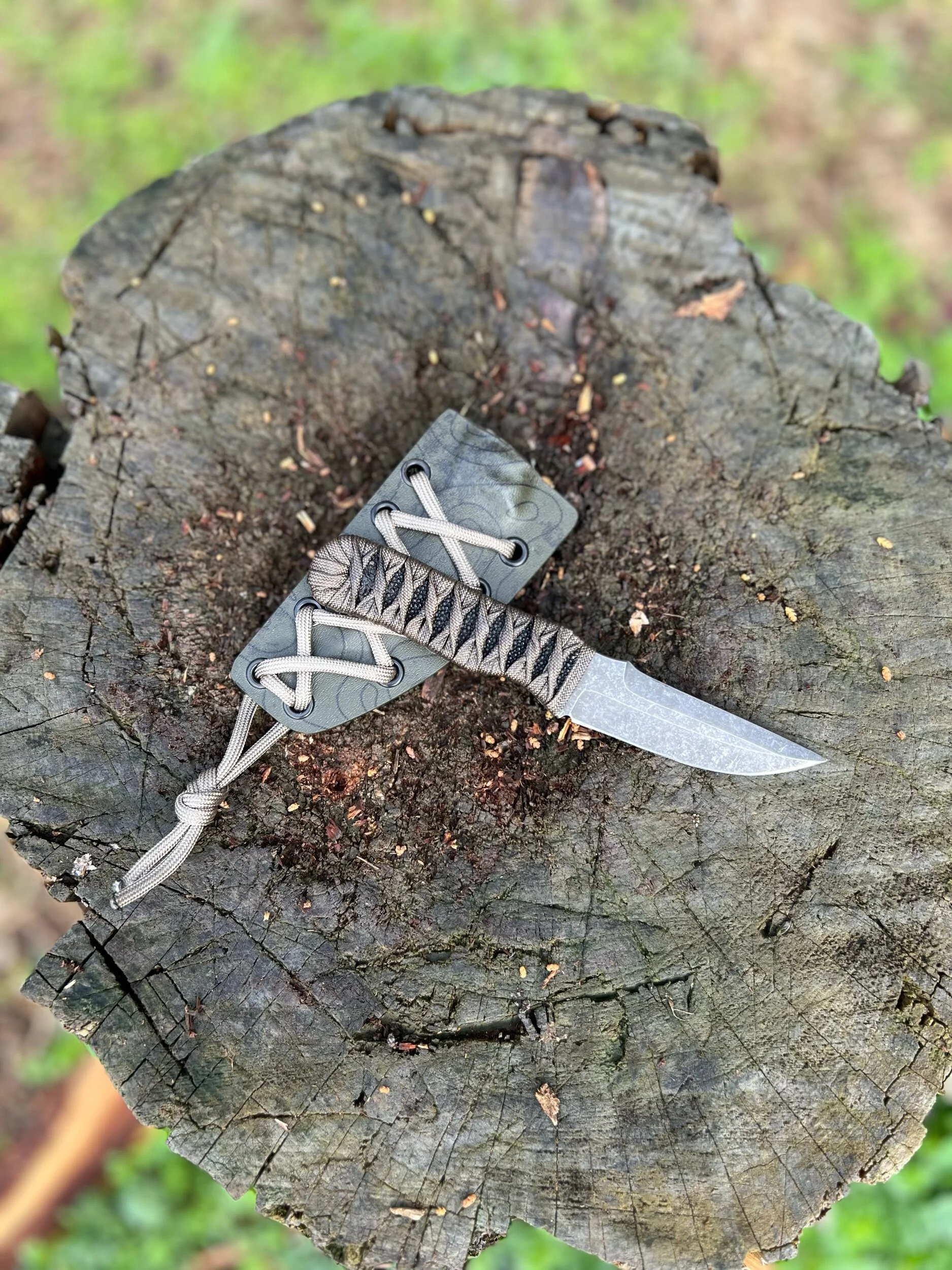 04E44BFD-B4B1-4253-B14F-EC6696E621A0