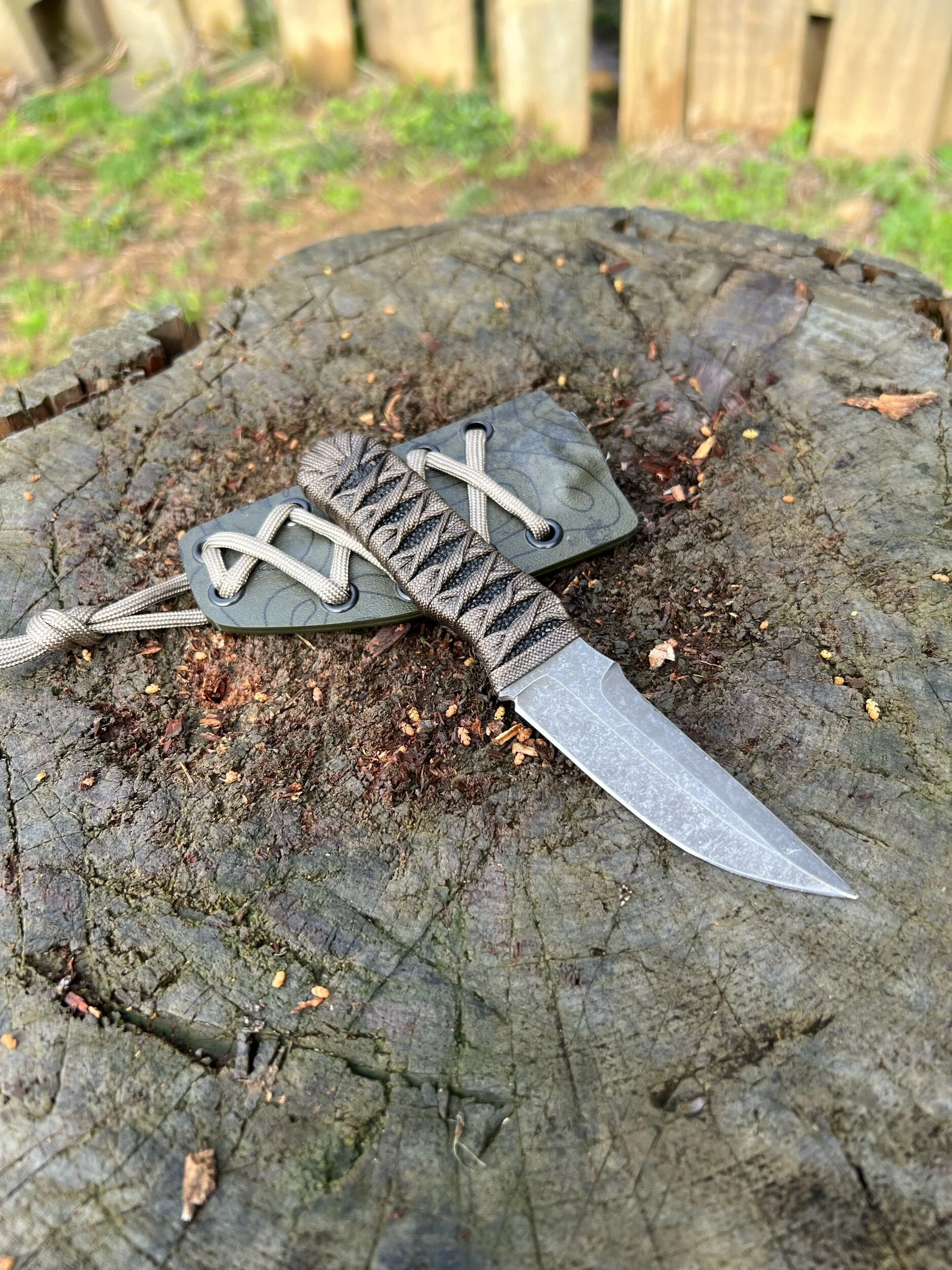 3999A4ED-70F0-46F4-B36C-7C37F96B6443