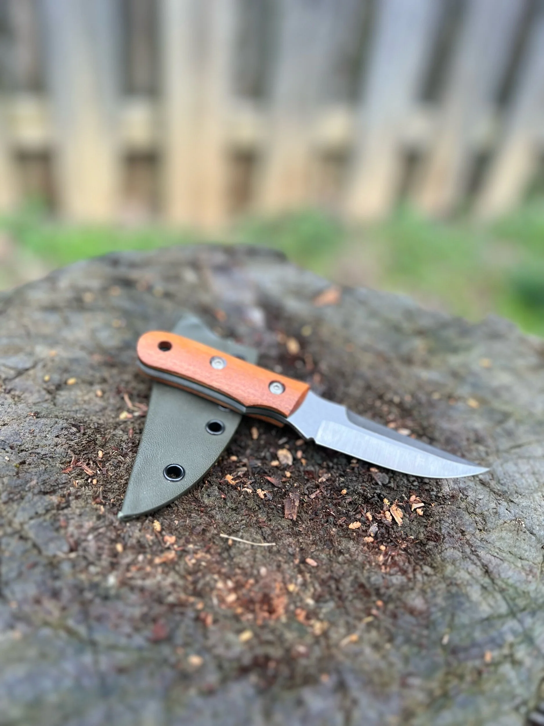 0261E596-7EB9-4EC8-9C4D-7E31A608FB27