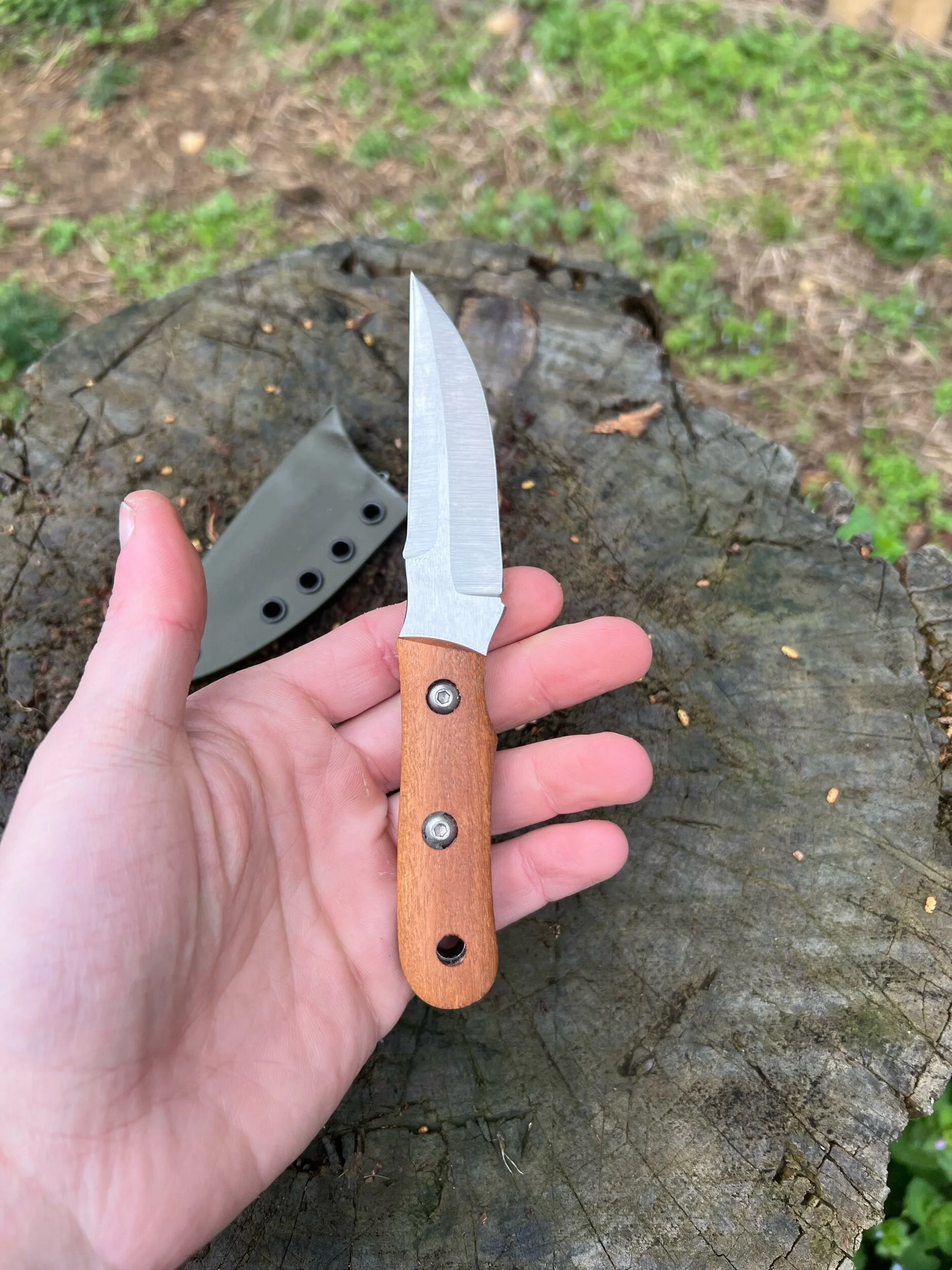 F806CF55-8728-45C4-B967-501F12E65CBD