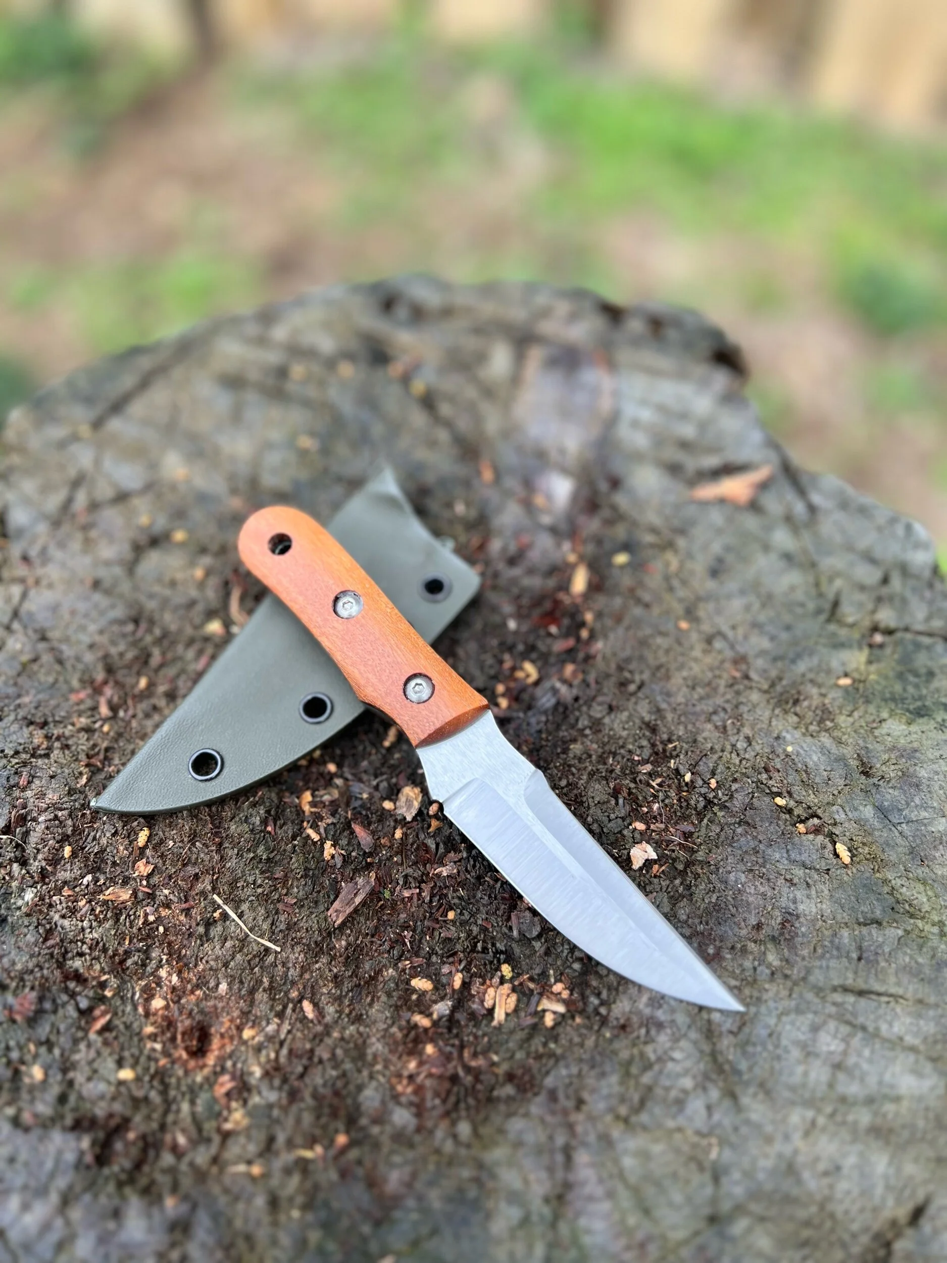 9E95B1C1-C79E-495C-99FA-CE7A84E115B2