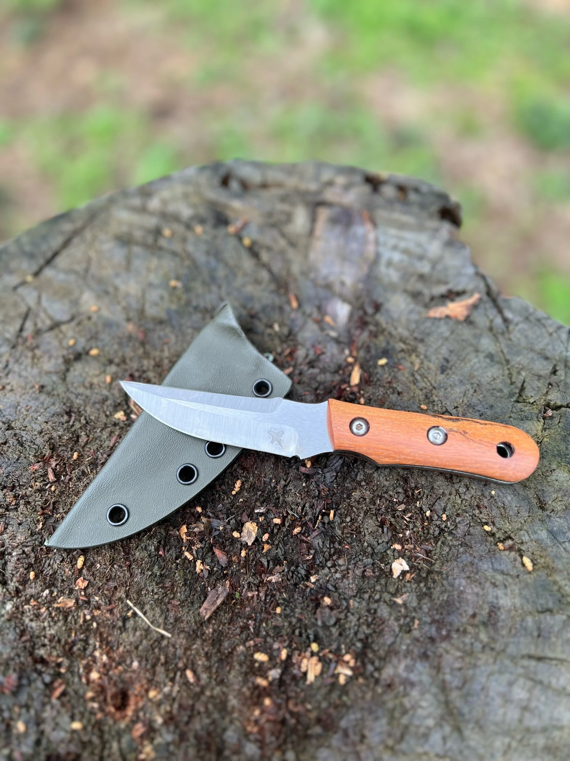 010332F5-7C4F-40FB-A5A1-032C2A4F21B1