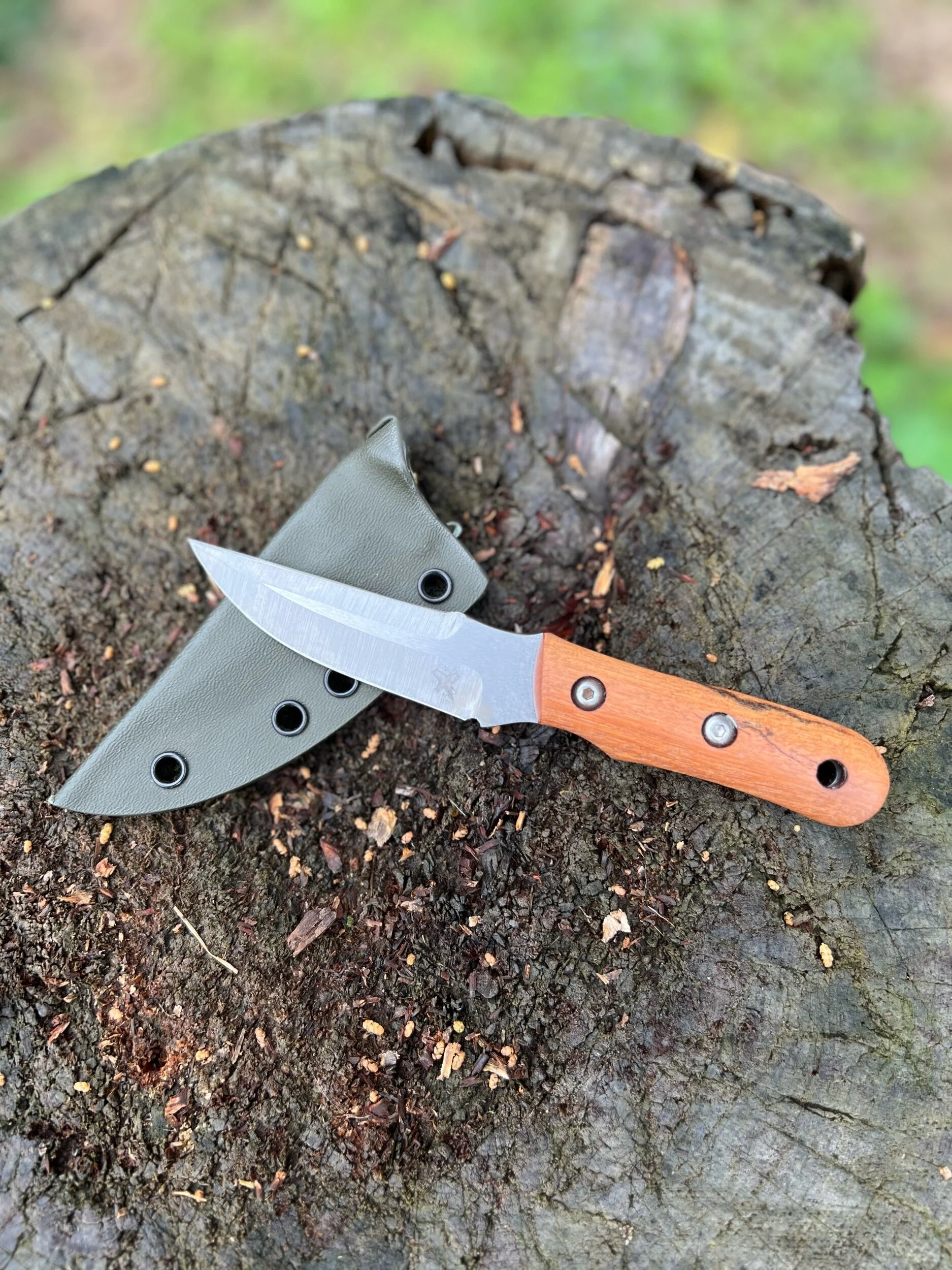 0146E121-0B5D-408F-8DB8-4E98D96A4E25