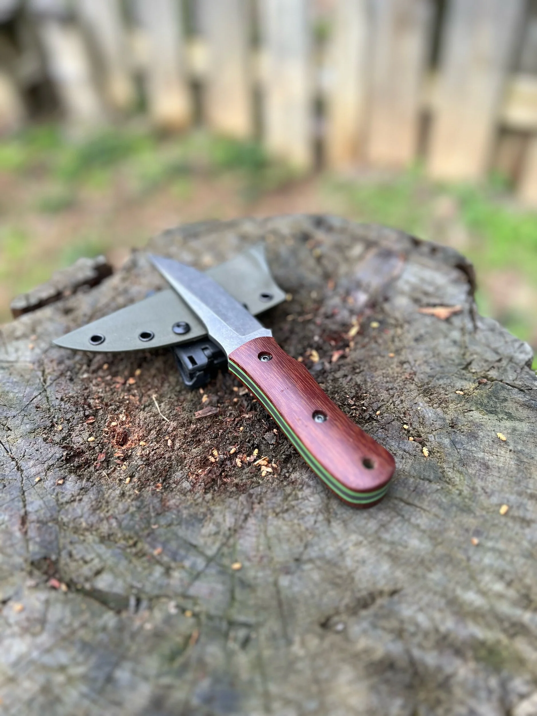 F5B4309D-8D1C-4785-A9E8-43174F4B09DA