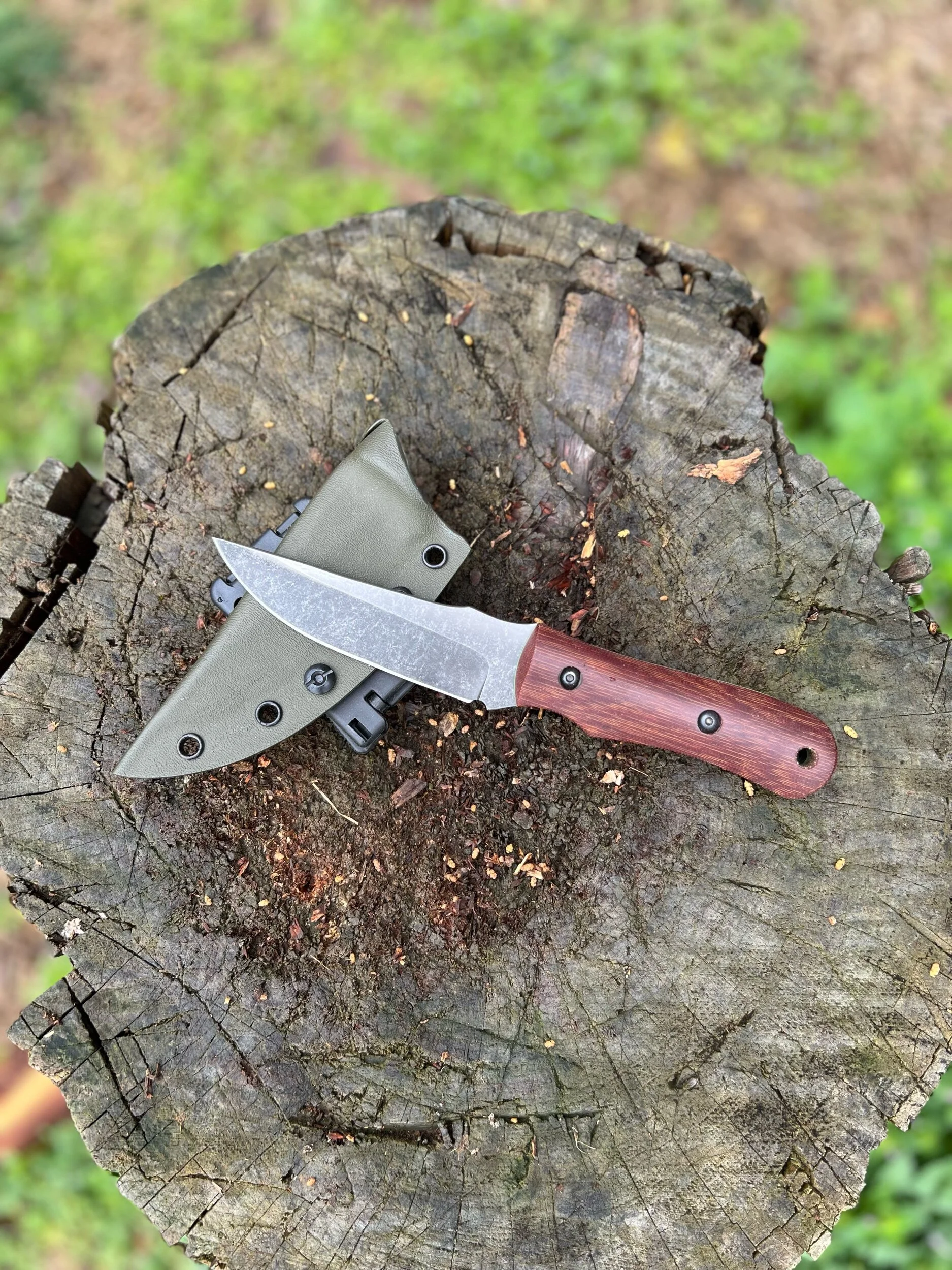 95CFE364-D4D5-4F44-B2C6-B37CC07187CC